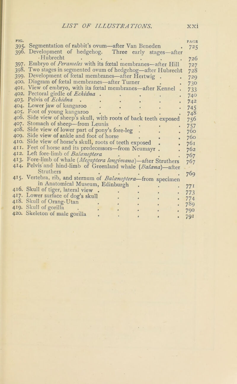 PIG. 395- Segmentation of rabbit’s ovum—after Van Beneden 396. Development of hedgehog. Three early stages—after •Hubrecht ...... 397. Embryo of Perameles with its foetal membranes—after Hill 398. Two stages in segmented ovum of hedgehog—after Hubrecht 399. Development of foetal membranes—after Hertwig . 400. Diagram of foetal membranes—after Turner 401. View of embryo, with its foetal membranes—after Kennel . 402. Pectoral girdle of Echidna ..... 403. Pelvis of Echidna ...... 404. Lower jaw of kangaroo ..... 405. Foot of young kangaroo ..... 406. Side view of sheep’s skull, with roots of back teeth exposed 407. Stomach of sheep—from Leunis .... 408. Side view of lower part of pony’s fore-leg . 409. Side view of ankle and foot of horse 410. Side view of horse’s skull, roots of teeth exposed . 411. Feet of horse and its predecessors—from Neumayr . 412. Left fore-limb of Balcenoptera .... 413. Fore-limb of whale (Megaptera longimana)—after Struthers 414. Pelvis and hind-limb of Greenland whale (Balaina)—after Struthers .... 415. Vertebra, rib, and sternum of Balcenoptera—from specimen in Anatomical Museum, Edinburgh 416. Skull of tiger, lateral view . 417. Lower surface of dog’s skull 418. Skull of Orang-Utan .... 419. Skull of gorilla .... 420. Skeleton of male gorilla pagb 725 726 727 728 729 73 o 733 740 742 745 748 756 757 760 760 761 762 767 767 769 771 773 77 4 789 790 791