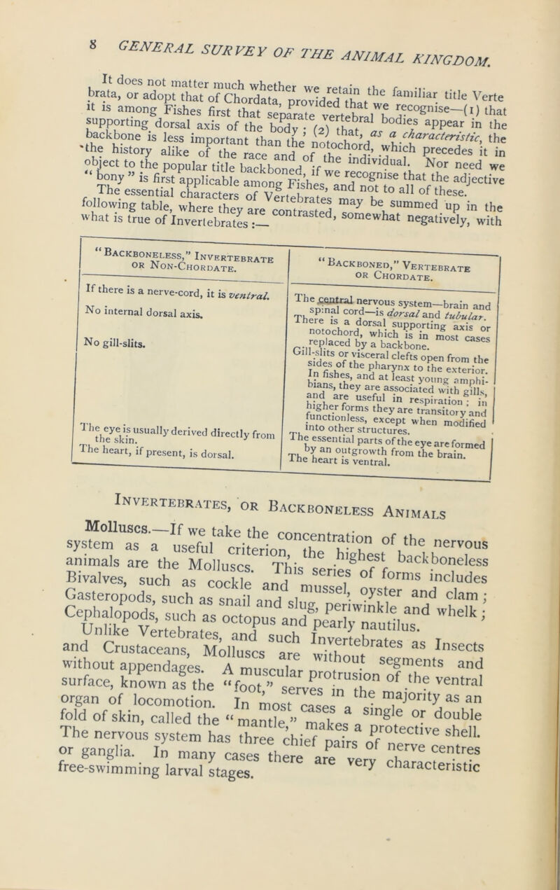 trala, o? adoVtXtof Chordatah'^r^idS* th*11* ra“',iar- title Verte ■t is among Fishes first that Lrarate vertlt, iT r,ec(«mse-(l) that supporting dorsal axis of the hSy f2tfhjf b°dle,S appear in the -the history »hkh Precedes it in object to the popular title backboned if C lnrpvl^Llah Nor need we “ t?ny” is first applicable^mon^Ffshes'and^ortcTa^V* 1 * * *^ The essential characters of vfL.k . a n°t to aI1 of these. following table, where they are contrasted be, summed up in the  hat is true of Invertebrates •— aSted’ somewhat negatively, with Backboneless,” Invertebrate or Non-Chordate. If there is a nerve-cord, it is ventral. No internal dorsal axis. No gill-slits. Backboned,” Vertebrate or Chordate. Thth7sekinUSUaIIyderIved direct,y from Hie heart, if present, is dorsal. Tht^St nIervouj system-brain and ThereTs and notod,;^or replaced by a backbone T' deftS °pen from In fish J, h 5harynx to the exterior, i • S”eL’ and at east young amphi- bians, they are associated with g and are useful in respiration in’ r *fhe.rf°rms they are transitory’and faCtl.°,nless> except when modified into other structures. I he essential parts of the eye are formed by an outgrowth from the brain I he heart is ventral. Invertebrates, or Backboneless Animals Molluscs.—If we take the concentration of th system as a useful criterion u-? of,the nervous animals are the Molluscs This & .^hest back boneless Bivalves, such af cockle and 1 ? °f f°rms Eludes Gasteropods, such as snail and cl USSe ’• ?y.ster and clam ; c&t’ r,ch as w,’eik * and C™stISiaMSk?ufcsSrre “ I,1Sects Without appendages. A muscular protrusion^'’the ve Tl surface, known as the “foot ’’ serves nT - . ventral organ of locomotion. In most cases am.a-,ont>'as an fold of skin> caIled the «mandt The nervous system has three chief nairs nf ri helL °r ganglia. In many cases there are ZrJ » Centr<TS free-swimming larval stages. ^ characteristic