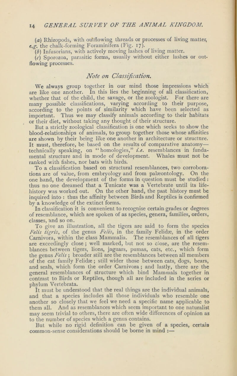 (a) Rhizopods, with outflowing threads or processes of living matter, e.g. the chalk-forming Foraminifera (Fig. 17). (b) Infusorians, with actively moving lashes of living matter. (V) Sporozoa, parasitic forms, usually without either lashes or out- flowing processes. Note on Classification. We always group together in our mind those impressions which are like one another. In this lies the beginning of all classification, whether that of the child, the savage, or the zoologist. For there are many possible classifications, varying according to their purpose, according to the points of similarity which have been selected as important. Thus we may classify animals according to their habitats or their diet, without taking any thought of their structure. But a strictly zoological classification is one which seeks to show the blood-relationships of animals, to group together those whose affinities are shown by their being like one another in architecture or structure. It must, therefore, be based on the results of comparative anatomy— technically speaking, on “homologies,” i.e. resemblances in funda- mental structure and in mode of development. Whales must not be ranked with fishes, nor bats with birds. To a classification based on structural resemblances, two corrobora- tions are of value, from embryology and from palaeontology. On the one hand, the development of the forms in question must be studied: thus no one dreamed that a Tunicate was a Vertebrate until its life- history was worked out. On the other hand, the past history must be inquired into : thus the affinity between Birds and Reptiles is confirmed by a knowledge of the extinct forms. In classification it is convenient to recognise certain grades or degrees of resemblance, which are spoken of as species, genera, families, orders, classes, and so on. To give an illustration, all the tigers are said to form the species Felis tigris, of the genus Felts, in the family Felidae, in the order Carnivora, within the class Mammalia. The resemblances of all tigers are exceedingly close ; well marked, but not so dose, are the resem- blances between tigers, lions, jaguars, pumas, cats, etc., which form the genus Felis ; broader still are the resemblances between all members of the cat family Felidm ; still wider those between cats, dogs, bears, and seals, which form the order Carnivora ; and lastly, there are the general resemblances of structure which bind Mammals together in contrast to Birds or Reptiles, though all are included in the series or phylum Vertebrata. It must be understood that the real things are the individual animals, and that a species includes all those individuals who resemble one another so closely that we feel we need a specific name applicable to them all. And as resemblances which seem important to one naturalist may seem trivial to others, there are often wide differences of opinion as to the number of species which a genus contains. But while no rigid definition can be given of a species, certain common-sense considerations should be borne in mind :—