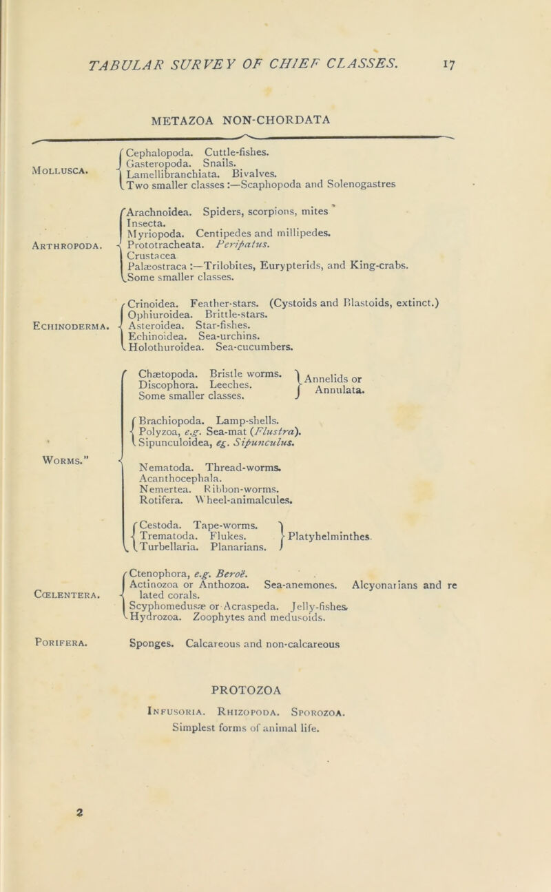 Mollusca. Arthropoda. Echinoderma. Worms.” CCELENTERA. pQRIFERA. METAZOA NON-CHORDATA Cephalopoda. Cuttle-fishes. Gasteropoda. Snails. _ Lamellibranchiata. Bivalves. Two smaller classes :—Scaphopoda and Solenogastres ''Arachnoidea. Spiders, scorpions, mites Insecta. Myriopoda. Centipedes and millipedes. Prototracheata. Peripatus. I Crustacea I Palmostraca Trilobites, Eurypterids, and King-crabs. kSome smaller classes. /Crinoidea. Feather-stars. (Cystoids and Blastoids, extinct.) Ophiuroidea. Brittle-stars. - Asteroidea. Star-fishes. Echinoidea. Sea-urchins. . Holothuroidea. Sea-cucumbers. ' Chaetopoda. Discophora. Some smaller Bristle worms. Leeches. classes. } Annelids or Annulata. f Brachiopoda. Lamp-shells. < Polyzoa, e.g. Sea-mat (Flustra). I Sipunculoidea, eg. Sipunculus. Nematoda. Thread-worms. Acanthocephala. Nemertea. Ribbon-worms. Rotifera. Wheel-animalcules. (Cestoda. Tape-worms. -I Trematoda. Flukes. ]• Platyhelminthes. i, (.Turbellaria. Planarians. J 'Ctenophora, e.g. Beroe. Actinozoa or Anthozoa. Sea-anemones. Alcyonarians and re lated corals. Scyphomedusse or Acraspeda. Jelly-fishes. VHydrozoa. Zoophytes and medusoids. Sponges. Calcareous and non-calcareous PROTOZOA Infusoria. Rhizopoda. Sporozoa. Simplest forms of animal life. 2