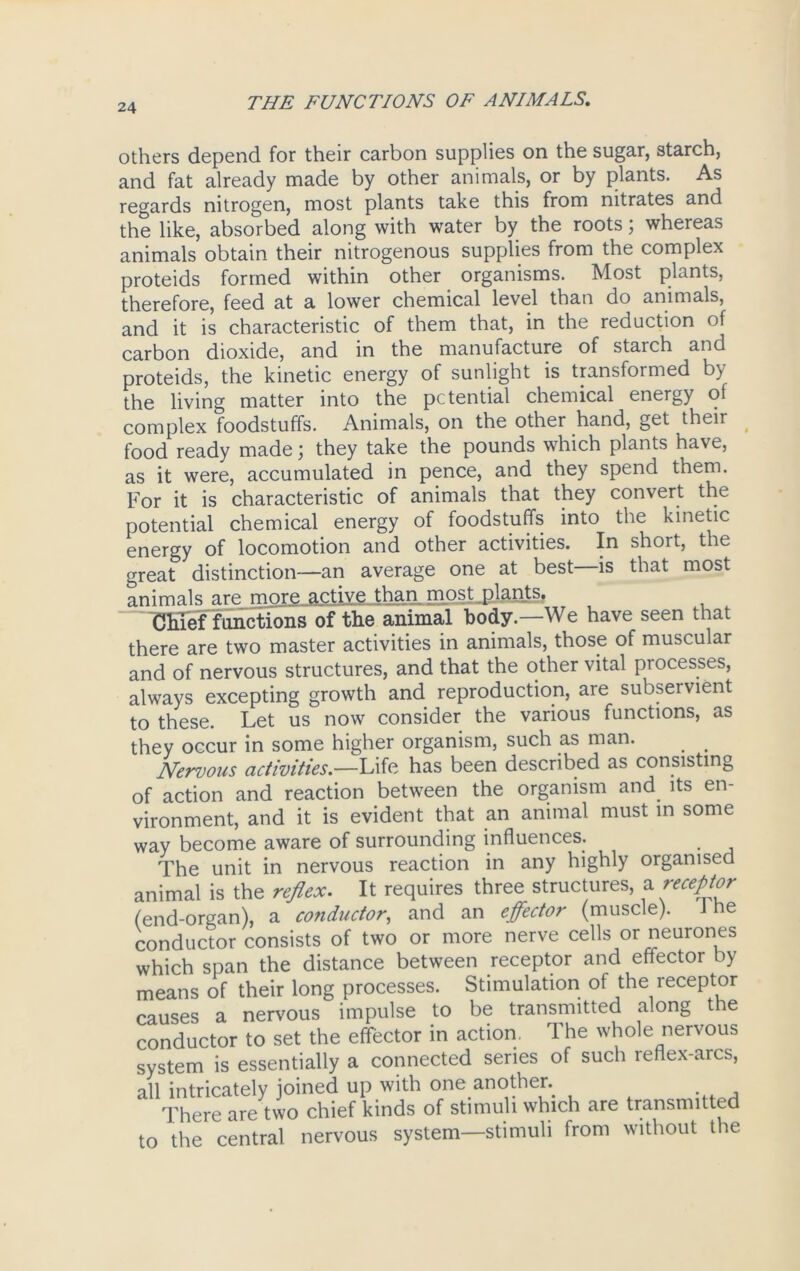 others depend for their carbon supplies on the sugar, starch, and fat already made by other animals, or by plants. As regards nitrogen, most plants take this from nitrates and the like, absorbed along with water by the roots; whereas animals obtain their nitrogenous supplies from the complex proteids formed within other organisms. Most plants, therefore, feed at a lower chemical level than do animals, and it is characteristic of them that, in the reduction of carbon dioxide, and in the manufacture of staich and proteids, the kinetic energy of sunlight is transformed by the living matter into the pctential chemical energy of complex foodstuffs. Animals, on the other hand, get their food ready made; they take the pounds which plants have, as it were, accumulated in pence, and they spend them. For it is characteristic of animals that they convert the potential chemical energy of foodstuffs into the kinetic energy of locomotion and other activities. In short, the great distinction—an average one at best—is that most animals arc more active than most plants. Chief functions of the animal body.—We have seen that there are two master activities in animals, those of muscular and of nervous structures, and that the other vital processes, always excepting growth and reproduction, are subservient to these. Let us now consider the various functions, as they occur in some higher organism, such as man. Nervous activities.—Life has been described as consisting of action and reaction between the organism and. its en- vironment, and it is evident that an animal must in some way become aware of surrounding influences. The unit in nervous reaction in any highly organised animal is the reflex. It requires three structures, preceptor (end-organ), a conductor, and an effector (muscle). 1 ne conductor consists of two or more nerve cells or neurones which span the distance between receptor and effector by means of their long processes. Stimulation of the receptor causes a nervous impulse to be transmitted along the conductor to set the effector in action. The whole nervous system is essentially a connected series of such reflex-arcs, all intricately joined up with one another. There are two chief kinds of stimuli which are transmitted to the central nervous system—stimuli from without the