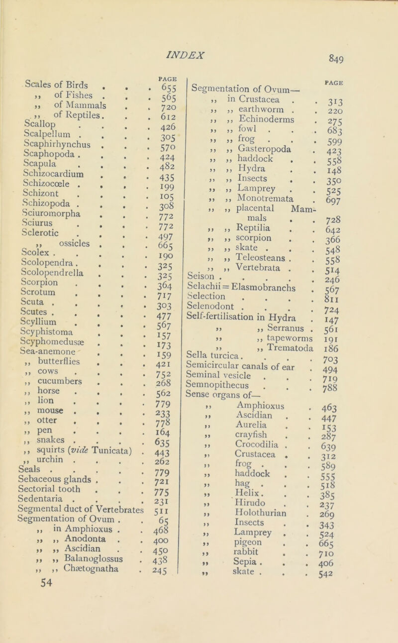 9 9 99 Scales of Birds of Fishes ol Mammals .,, of Reptiles Scallop Scalpel!um . Scaphirhynchus Scaphopoda . Scapula Schizocardium Schizocoele . Schizont Schizopoda . Sciuromorpha Sciurus Sclerotic ,, ossicles Scolex . Scolopendra. Scolopendrella Scorpion Scrotum Scuta . Scutes . Scyllium Scyphistoma Scypho medusae Sea-anemone butterflies cows cucumbers horse lion mouse . otter pen snakes . squirts (vide Tunicata) ,, urchin . Seals . Sebaceous glands Sectorial tooth Sedentaria . Segmental duct of Vertebrate Segmentation of Ovum ,, in Amphioxus ,, Anodonta ,, Ascidian , ,, Balanoglossus , ,, Chaetognatha 54 J) 99 PAGE 655 565 720 612 426 305 57o 424 482 435 199 105 308 77 2 772 497 665 190 325 325 364 717 303 477 567 157 173 159 421 752 268 562 779 233 778 164 635 443 262 779 721 775 231 5ii 65 468 400 450 438 245 99 99 9 9 99 9 ) 99 99 99 Segmentation of Ovum— ,, in Crustacea ,, ,, earthworm . ,, ,, Echinoderms ,, ,, fowl . » frog . ,, Gasteropoda ,, haddock ,, Hydra ,, Insects ,, Lamprey ,, Monotremata ,, placental Mam- mals ,, Reptilia ,, scorpion ,, skate . ,, Teleosteans >> ,, Vertebrata Seison .... Selachii = Elasmobranchs Selection Selenodont . Self-fertilisation in Hydra >> ,, Serranus . >> ,, tapeworms 0 >> j, Trematoda Sella turcica. Semicircular canals of ear Seminal vesicle Semnopithecus Sense organs of— »> Amphioxus ,, Ascidian n Aurelia 11 crayfish 11 Crocodilia I. Crustacea u frog . haddock hag . Helix. Hirudo Holothurian Insects Lamprey pigeon rabbit Sepia . skate . 99 99 99 99 99 9 9 99 99 99 PAGE • 313 . 220 ■ 275 , 683 ■ 599 423 558 148 35o 525 697 728 642 366 548 558 514 246 567 811 724 147 56i 191 186 703 494 719 788 463 447 153 287 639 312 589 555 5i8 385 2 37 269 343 524 665 710 406 542