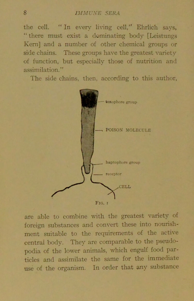 the cell. “ In every living cell, Ehrlich sa^’s,  there must exist a dominating body [Leistungs Kern] and a number of other chemical groups or side chains. These groups have the greatest variety of function, but especially those of nutrition and assimilation.’’ The side chains, then, according to this author. Fig. I are able to combine with the greatest variety of foreign substances and convert these into nourish- ment suitable to the requirements of the active central body. They are comparable to the pseudo- podia of the lower animals, which engulf food par- ticles and assimilate the same for the immediate use of the organism. In order that any substance