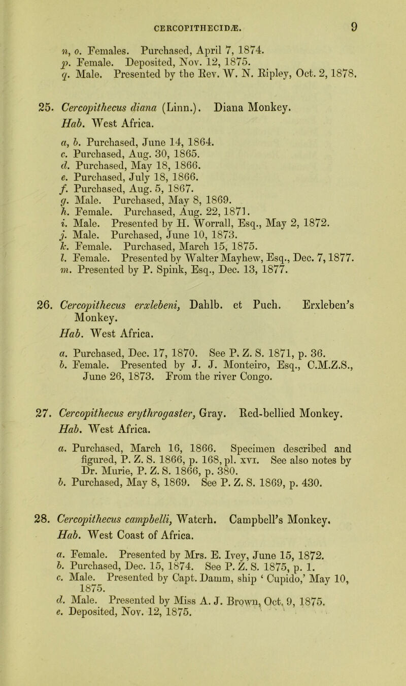 n, o. Females. Purchased, April 7, 1874. p. Female. Deposited, Nov. 12, 1875. q. Male. Presented by the Rev. W. N. Eipley, Oct. 2, 1878, 25. Cercopithecus diana (Linn.). Diana Monkey. Hab. West Africa. a, b. Purchased, June 14, 1864. c. Purchased, Aug. 30, 1865. cl. Purchased, May 18, 1866. e. Purchased, July 18, 1866. /. Purchased, Aug. 5, 1867. g. Male. Purchased, May 8, 1869. h. Female. Purchased, Aug. 22,1871. i. Male. Presented by H. Worrall, Esq., May 2, 1872. j. Male. Purchased, June 10, 1873. h. Female. Purchased, March 15, 1875. Z. Female. Presented by Walter May hew, Esq., Dec. 7,1877. m. Presented by P. Spink, Esq., Dec. 13, 1877. 26. Cercopithecus erxlebeni) Dahlb. et Puch. Erxleben's Monkey. Hab. West Africa. ci. Purchased, Dec. 17, 1870. See P. Z. S. 1871, p. 36. b. Female. Presented by J. J. Monteiro, Esq., C.M.Z.S., June 26, 1873. From the river Congo. 27. Cercopithecus erythrogaster, Gray. Red-bellied Monkey. Hab. West Africa. a. Purchased, March 16, 1866. Specimen described and figured, P. Z. S. 1866, p. 168, pi. xyi. See also notes by Dr. Murie, P. Z. S. 1866, p. 380. b. Purchased, May 8, 1869. See P. Z. S. 1869, p. 430. 28. Cercopithecus campbelli, Waterh. CampbelPs Monkey. Hab. West Coast of Africa. a. Female. Presented by Mrs. E. Ivey, June 15, 1872. b. Purchased, Dec. 15, 1874. See P. Z. S. 1875, p. 1. c. Male. Presented by Capt. Damm, ship ‘ Cupido,’ May 10, 1875. d. Male.. Presented by Miss A. J. Brown, Oct, 9, 1875. e. Deposited, Nov. 12, 1875.