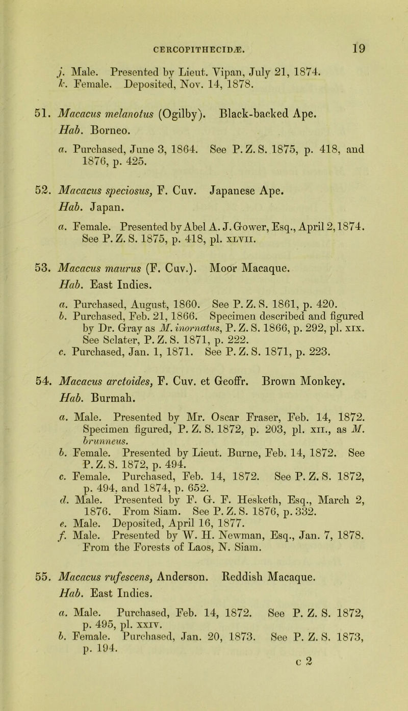 j. Male. Presented by Lieut. Vipan, July 21, 1874. k. Female. Deposited, Nov. 14, 1878. 51. Macacus melanotus (Ogilby). Black-backed Ape. Hab. Borneo. a. Purchased, June 3, 1864. See P. Z. S. 1875, p. 418, and 1876, p. 425. 52. Macacus speciosus, F. Cuv. Japanese Ape. Hab. Japan. a. Female. Presented by Abel A. J. Grower, Esq., April 2,1874. See P. Z. S. 1875, p. 418, pi. xlvii. 53. Macacus maurus (F. Cuv.). Moor Macaque. Hab. East Indies. a. Purchased, August, 1860. See P. Z. S. 1861, p. 420. b. Purchased, Feb. 21, 1866. Specimen described and figured by Dr. Gray as M. inorncitus, P. Z. S. 1866, p. 292, pi. xix. See Sclater, P. Z. S. 1871, p. 222. c. Purchased, Jan. 1, 1871. See P. Z. S. 1871, p. 223. 54. Macacus arctoides, F. Cuv. et Geoffr. Brown Monkey. Hab. Burmah. a. Male. Presented by Mr. Oscar Fraser, Feb. 14, 1872. Specimen figured, P. Z. S. 1872, p. 203, pi. xii., as M. brunneus. b. Female. Presented by Lieut. Burne, Feb. 14, 1872. See P. Z. S. 1872, p. 494. c. Female. Purchased, Feb. 14, 1872. See P. Z. S. 1872, p. 494, and 1874, p. 652. d. Male. Presented by F. G. F. Hesketh, Esq., March 2, 1876. From Siam. See P. Z. S. 1876, p. 332. e. Male. Deposited, April 16, 1877. /. Male. Presented by W. H. Newman, Esq., Jan. 7, 1878. From the Forests of Laos, N. Siam. 55. Macacus rufescens, Anderson. Reddish Macaque. Hab. East Indies. a. Male. Purchased, Feb. 14, 1872. See P. Z. S. 1872, p. 495, pi. xxiv. b. Female. Purchased, Jan. 20, 1873. See P. Z. S. 1873, p. 194.