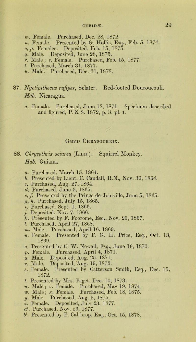 m. Female. Purchased, Dec. 28, 1872. n. Female. Presented by G. Hollis, Esq., Feb. 5, 1874. o. p. Females. Deposited, Feb. 15, 1875. q. Male. Deposited, June 28, 1875. r. Male; s. Female. Purchased, Feb. 15, 1877. t. Purchased, March 31, 1877. u. Male. Purchased, Dec. 31, 1878. 87. Nyctipithecas rufipes, Sclater. Red-footed Douroucouli. Hab. Nicaragua. a. Female. Purchased, June 12, 1871. Specimen described and figured, P. Z. S. 1872, p. 3, pi. i. Genus Chrysothrix. 88. Chrysothrix sciurea (Linn.). Squirrel Monkey. Hab. Guiana. a. Purchased, March 15, 1864. b. Presented by Lieut. C. Candall, R.N., Nov. 30, 1864. c. Purchased, Aug. 27, 1864. cl. Purchased, June 3, 1865. e, f. Presented by the Prince de Joinville, June 5, 1865. c/, h. Purchased, July 15, 1865. i. Purchased, Sept. 1, 1866. j. Deposited, Nov. 7, 1866. Jc. Presented by F. Foorome, Esq., Nov. 26, 1867. l. Purchased, April 27, 1868. m. Male. Purchased, April 16, 1869. n. Female. Presented by F. G. H. Price, Esq., Oct. 13, 1869. o. Presented by C. W. Newall, Esq., June 16, 1870. p. Female. Purchased, April 4, 1871. q. Male. Deposited, Aug. 25, 1871. r. Male. Deposited, Aug. 19, 1872. s. Female. Presented by Catterson Smith, Esq., Dec. 15, 1872. t. Presented by Mrs. Paget, Dec. 10, 1873. u. Male ; v. Female. Purchased, May 19, 1874. iv. Male; x. Female. Purchased, Feb. 18, 1875. y. Male. Purchased, Aug. 3, 1875. z. Female. Deposited, July 23, 1877. al. Purchased, Nov. 26, 1877. b\ Presented by E. Calthrop, Esq., Oct. 15, 1878.