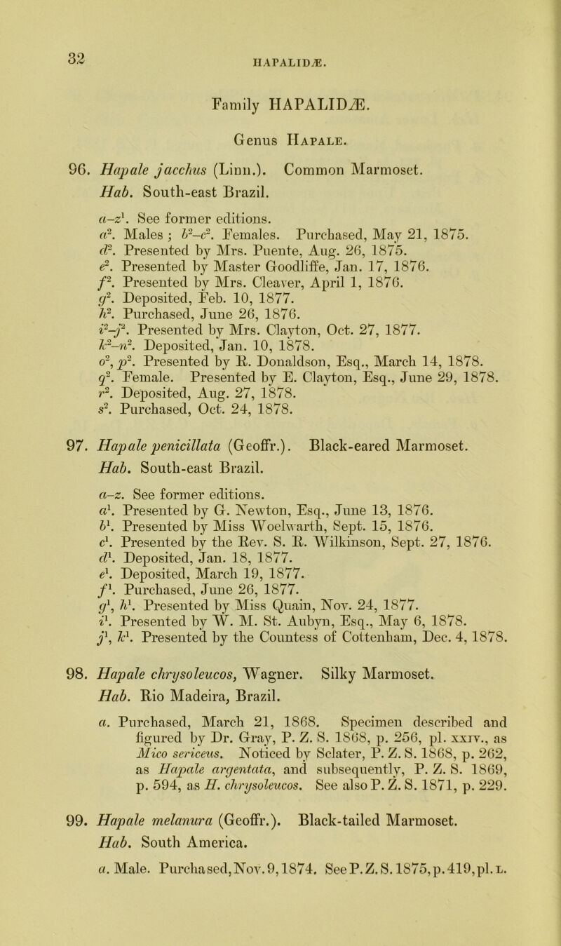 HAPALIDAS. Family HAPALID.E. Genus IIapale. 96. Hapale jacchus (Linn.). Common Marmoset. Hab. South-east Brazil. a-z1. See former editions. a2. Males ; b2-c2. Females. Purchased, May 21, 1875. d2. Presented by Mrs. Puente, Aug. 26, 1875. e2. Presented by Master Goodliffe, Jan. 17, 1876. f2. Presented by Mrs. Cleaver, April 1, 1876. g2. Deposited, Feb. 10, 1877. A2. Purchased, June 26, 1876. i2-j‘2. Presented by Mrs. Clayton, Oct. 27, 1877. Jc2-n2. Deposited, Jan. 10, 1878. o2,p2. Presented by B. Donaldson, Esq., March 14, 1878. q2. Female. Presented by E. Clayton, Esq., June 29, 1878. r2. Deposited, Aug. 27, 1878. s2. Purchased, Oct. 24, 1878. 97. Haqoale penicillata (Geoffr.). Black-eared Marmoset. Hab. South-east Brazil. a-z. See former editions. a1. Presented by G. Newton, Esq., June 13, 1876. b1. Presented by Miss Woelwarth, Sept. 15, 1876. c1. Presented by the Eev. S. B. Wilkinson, Sept. 27, 1876. d1. Deposited, Jan. 18, 1877. e1. Deposited, March 19, 1877. f1. Purchased, June 26, 1877. g1, Id. Presented by Miss Quain, Nov. 24, 1877. il. Presented by W. M. St. Aubyn, Esq., May 6, 1878. j1, Jc\ Presented by the Countess of Cottenkam, Dec. 4, 1878. 98. Hapale chrysoleucos, Wagner. Silky Marmoset. Hab. Bio Madeira, Brazil. a. Purchased, March 21, 1868. Specimen described and figured by Dr. Gray, P. Z. S. 1868, p. 256, pi. xxiv., as Mico sericeus. Noticed by Sclater, P. Z. S. 1868, p. 262, as Hapale argentata, and subsequently, P. Z. S. 1869, p. 594, as H. chrysoleucos. See alsoP. Z. S. 1871, p. 229. 99. Hapale melanura (Geoffr.). Black-tailed Marmoset. Hab. South America. a. Male. Purchased,Nov.9,1874. SeeP.Z.S. 1875,p.419,pi.l.