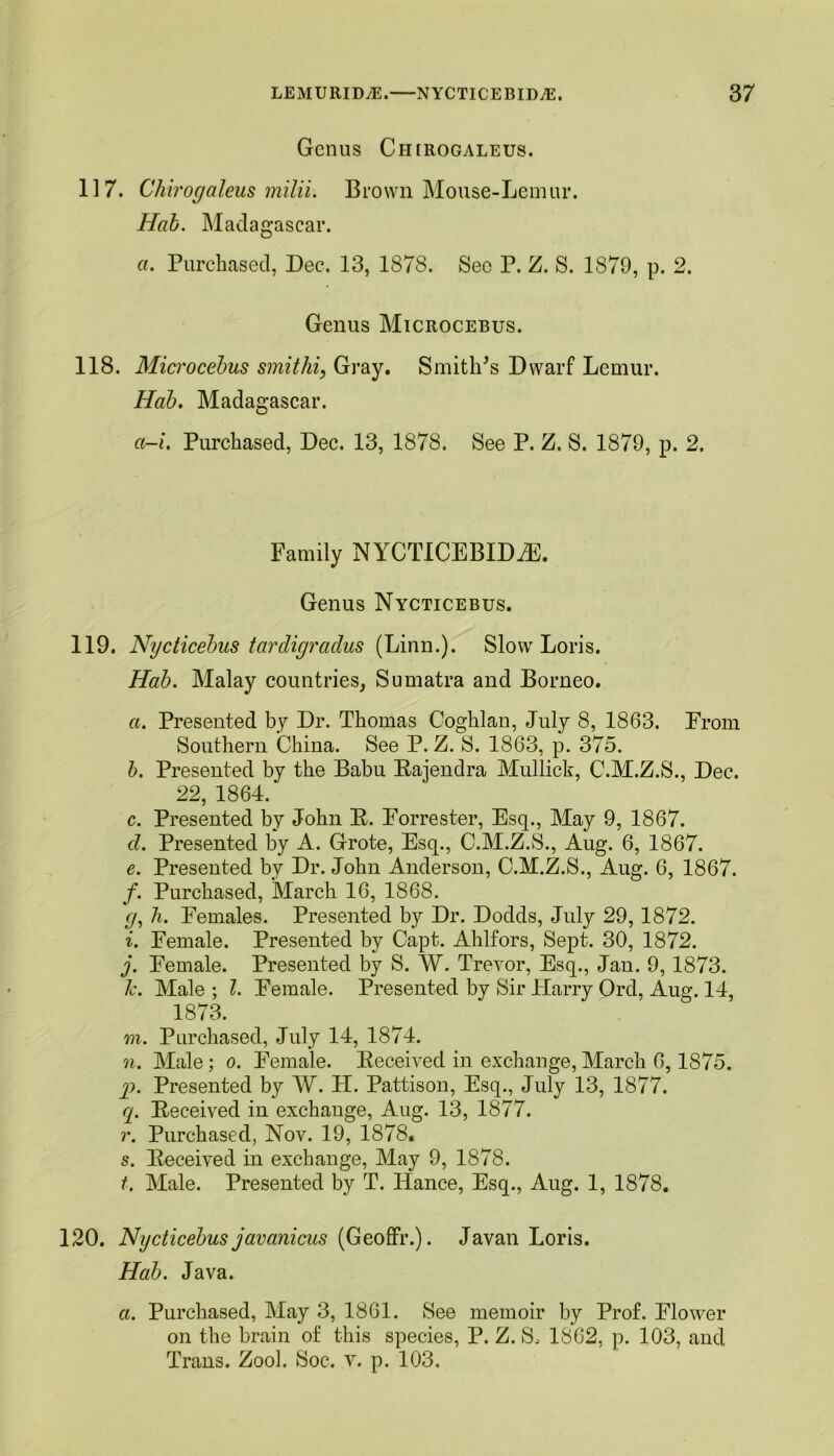 Genus Ch[rogaleus. 117. Chirogaleus milii. Brown Mouse-Lemur. Hab. Madagascar. a. Purchased, Dec. 13, 1878. Sec P. Z. S. 1879, p. 2. Genus Microcebus. 118. Microcebus smithi, Gray. Smith's Dwarf Lemur. Hah. Madagascar. a-i. Purchased, Dec. 13, 1878. See P. Z. S. 1879, p. 2. Family NYCTICEBIDiE. Genus Nycticebus. 119. Nycticebus tardigradus (Linn.). Slow Loris. Hab. Malay countries, Sumatra and Borneo. a. Presented by Dr. Thomas Coghlan, July 8, 1863. From Southern China. See P. Z. S. 1863, p. 375. b. Presented by the Babu Bajendra Mullick, C.M.Z.S., Dec. 22, 1864. c. Presented by John B. Forrester, Esq., May 9, 1867. d. Presented by A. Grote, Esq., C.M.Z.S., Aug. 6, 1867. e. Presented by Dr. John Anderson, C.M.Z.S., Aug. 6, 1867. /. Purchased, March 16, 1868. li. Females. Presented by Dr. Dodds, July 29,1872. i. Female. Presented by Capt. Ahlfors, Sept. 30, 1872. j. Female. Presented by S. W. Trevor, Esq., Jan. 9, 1873. Tc. Male ; l. Female. Presented by Sir Harry Ord, Aug. 14, 1873. m. Purchased, July 14, 1874. n. Male; o. Female. Deceived in exchange, March 6,1875. y>. Presented by W. PI. Pattison, Esq., July 13, 1877. q. Deceived in exchange, Aug. 13, 1877. r. Purchased, Nov. 19, 1878. s. Deceived in exchange, May 9, 1878. t. Male. Presented by T. Iiance, Esq., Aug. 1, 1878. 120. Nycticebus javonicus (Geoffr.). Javan Loris. Hab. Java. a. Purchased, May 3, 1861. See memoir by Prof. Flower on the brain of this species, P. Z. So 1862, p. 103, and Trans. Zool. Soc. v. p. 103.