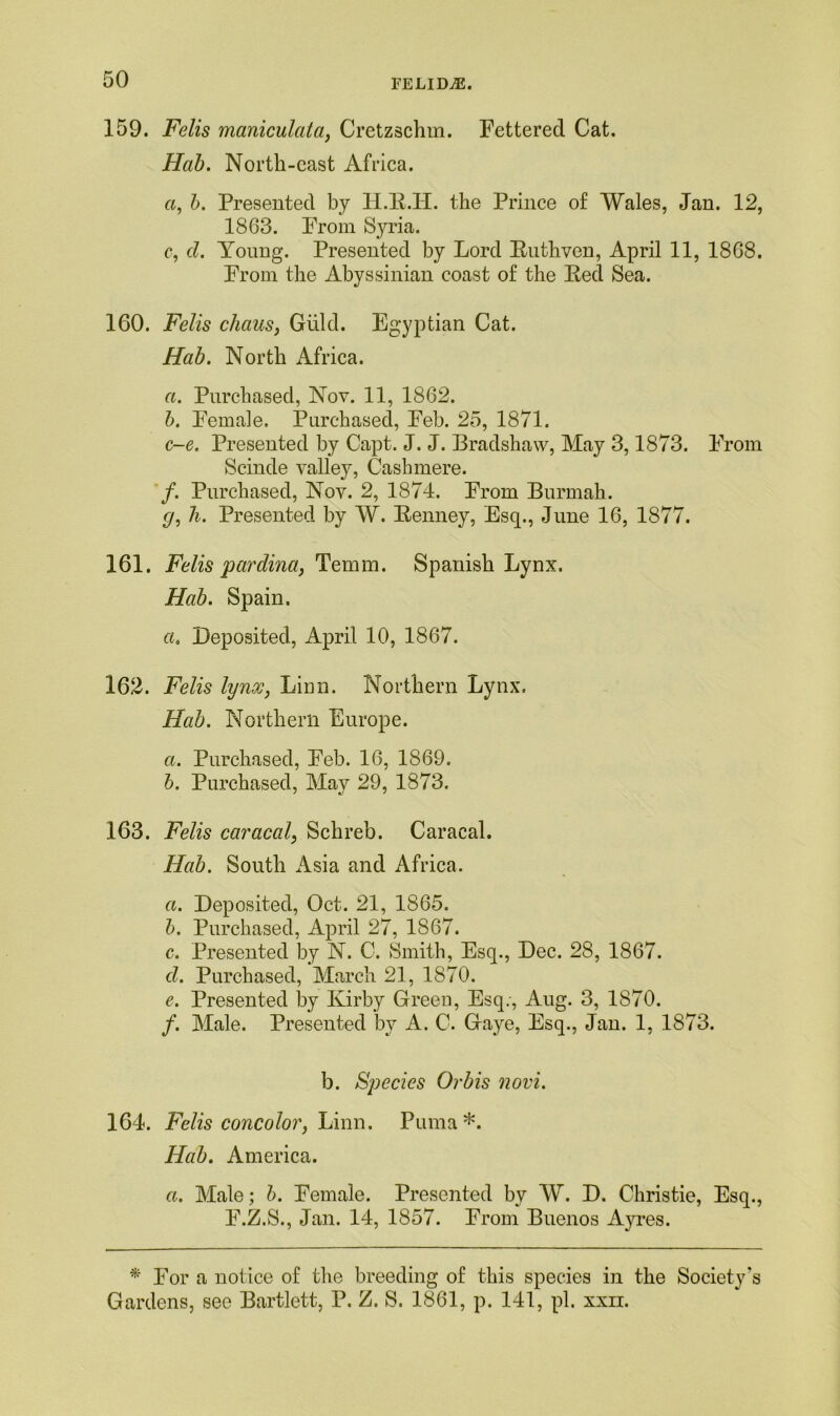 159. Felis maniculata, Cretzschm. Fettered Cat. Hab. North-cast Africa. a, b. Presented by H.R.H. the Prince of Wales, Jan. 12, 1863. From Syria. c, cl. Yonng. Presented by Lord Ruthven, April 11, 1868. From the Abyssinian coast of the Red Sea. 160. Felis chaus, Giild. Egyptian Cat. Hab. North Africa. a. Purchased, Nov. 11, 1862. b. Female. Purchased, Feb. 25, 1871. c-e. Presented by Capt. J. J. Bradshaw, May 3,1873. From Scinde valley, Cashmere. /. Purchased, Nov. 2, 1874. From Burmah. g, 7i. Presented by W. Renney, Esq., June 16, 1877. 161. Felis pardina, Temm. Spanish Lynx. Hab. Spain. a. Deposited, April 10, 1867. 162. Felis lynx, Lion. Northern Lynx. Hab. Northern Europe. a. Purchased, Feb. 16, 1869. b. Purchased, May 29, 1873. 163. Felis caracal, Schreb. Caracal. Hab. South Asia and Africa. a. Deposited, Oct. 21, 1865. b. Purchased, April 27, 1867. c. Presented by N. C. Smith, Esq., Dec. 28, 1867. cl. Purchased, March 21, 1870. e. Presented by Kirby Greeu, Esq;, Aug. 3, 1870. /. Male. Presented by A. C. Gaye, Esq., Jan. 1, 1873. b. Species Or bis novi. 164. Felis coneolor, Linn. Puma*. Hab. America. a. Male; b. Female. Presented by W. D. Christie, Esq., F.Z.S., Jan. 14, 1857. From Buenos Ayres. * For a notice of the breeding of this species in the Society's Gardens, see Bartlett, P. Z. S. 1861, p. 141, pi. xxii.