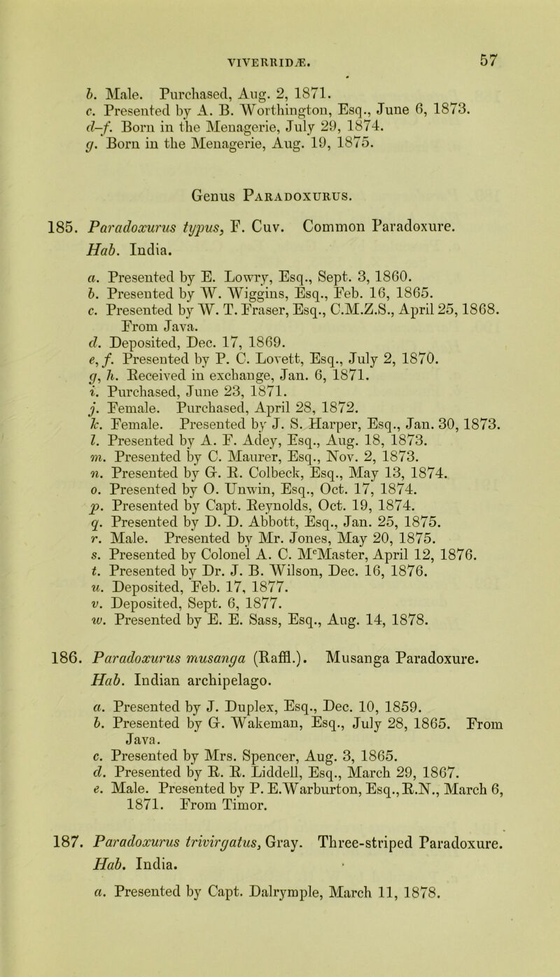 b. Male. Purchased, Aug. 2, 1871. c. Presented by A. B. Worthington, Esq., June 6, 1873. d-f. Born in the Menagerie, July 29, 1874. g. Born in the Menagerie, Ang. 19, 1875. Genus Paradoxurus. 185. Paradoxurus typus, F. Cuv. Common Paradoxure. Hab. India. a. Presented by E. Lowry, Esq., Sept. 3, 1860. b. Presented by W. Wiggins, Esq., Feb. 16, 1865. c. Presented by W. T. Fraser, Esq., C.M.Z.S., April 25,1868. From Java. d. Deposited, Dec. 17, 1869. e. f. Presented by P. C. Lovett, Esq., July 2, 1870. g, h. Deceived in exchange, Jan. 6, 1871. i. Purchased, June 23, 1871. j. Female. Purchased, April 28, 1872. k. Female. Presented by J. S. Harper, Esq., Jan. 30, 1873. l. Presented by A. F. Adey, Esq., Aug. 18, 1873. m. Presented by C. Maurer, Esq., Nov. 2, 1873. n. Presented by G. B. Colbeck, Esq., May 13, 1874. o. Presented by O. Unwin, Esq., Oct. 17, 1874. p. Presented by Capt. Beynolds, Oct. 19, 1874. q. Presented by D. D. Abbott, Esq., Jan. 25, 1875. r. Male. Presented by Mr. Jones, May 20, 1875. s. Presented by Colonel A. C. McMaster, April 12, 1876. t. Presented by Dr. J. B. Wilson, Dec. 16, 1876. u. Deposited, Feb. 17, 1877. v. Deposited, Sept. 6, 1877. w. Presented by E. E. Sass, Esq., Aug. 14, 1878. 186. Paradoxurus musanga (BaffL). Musanga Paradoxure. Hab. Indian archipelago. a. Presented by J. Duplex, Esq., Dec. 10, 1859. b. Presented by G. Wakeman, Esq., July 28, 1865. From Java. c. Presented by Mrs. Spencer, Aug. 3, 1865. d. Presented by B. B. Liddell, Esq., March 29, 1867. <?. Male. Presented by P. E.Warburton, Esq.,B.N., March 6, 1871. From Timor. 187. Paradoxurus trivirgatus, Gray. Three-striped Paradoxure. Hab. India. a. Presented by Capt. Dalrymple, March 11, 1878.