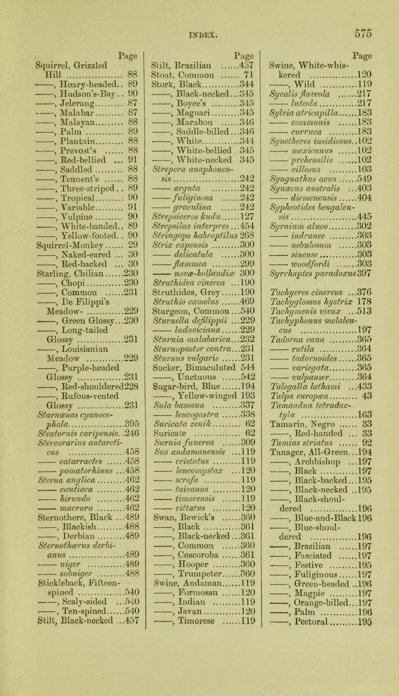 Squirrel, Grizzled Ilill SS , IToary-headed.. 89 , Hudson’s-Bay.. 90 , Jelerang 87 , Malabar 87 , Malayan 88 , Palm 89 , Plantain 88 , Prev03t’s 8S , Red-bellied ... 91 , Saddled 88 , Tennent’s 88 , Three-striped.. 89 , Tropical 90 , Variable 91 , Vulpine 90 , White-banded.. 89 , Yellow-footed.. 90 Squirrel-Monkey 29 , Naked-eared ... 30 , Red-backed ... 30 Starling, Chilian 230 , Chopi 230 , Common 231 , Be Filippi’s Meadow- 229 , Green Glossy...230 , Long-tailed Glossy 231 , Louisianian Meadow 229 , Purple-headed Glossy 231 , Red-shouldered228 • , Rufous-vented Glossy 231 Starnoenas cyanoce- phala 395 Steatornis caripensis. .246 Stercorarius antarcti- cus 458 catarractes 458 pomatorhinus ...458 Sterna anglica 462 cantiaca 462 hirundo 462 macrura 462 Sternothere, Black ...489 , Blackish 488 , Derbian 489 Sternothcerus derbi- anus 489 niger 489 subniger 488 Stickleback, Fifteen- spinecl 540 , Scaly-sided ...540 , Ten-spined 540 Stilt, Black-necked ...457 Page Stilt, Brazilian 457 Stoat, Common 71 Stork, Black 344 , Black-necked...345 , Boyce’s 345 , Maguari 345 , Marabou 346 , Saddle-billed...346 , White 344 , White-bellied 345 , White-necked 345 Strepcra anaphonen- sis 242 arguta 242 fuliginosa 242 graculina 242 Strepsiceros kudu 127 Strepsilas interpres ...454 Stringops hahroptilus 268 Strix capensis 300 delicatula 300 flammea 299 novce-holla.ndia} 300 Struthidea cinerca ...190 Struthidea, Grey 190 Struthio camelus 469 Sturgeon, Common .. .540 Sturnella defilippii ...229 ludoviciana 229 Sturnia malabarica.. .232 Sturnopastor contra.. .231 Sturnus vulgaris 231 Sucker, Bimaculuted 544 , Unctuous 542 Sugar-bird, Blue 194 , Yellow-winged 193 Sula bassana 337 leucogastra 338 Suricata zenik 62 Suricate 62 Surnia funerea 309 Sus andamanensis ... 119 cristatus 119 leucomystax ...120 scrofa 119 taivanus 120 timorensis 119 vittatus 120. Swan, Bewick’s 360 , Black 361 , Black-necked.. .361 , Common 360 , Coscoroba 361 , Hooper 360 , Trumpeter 360 Swine, Andaman 119 , Formosan 120 , Indian 119 , Javan 120 , Timorese 119 Page Swine, Whito-whis- kered 120 , Wild 119 Sy calls jlavcola 217 luteola 217 Sylvia atricapilla 183 communis 183 curruca 183 Synetheres insidiosus.. 102 mexicanus 102 prehensilis 102 villosus 103 Syngnathus acus 549 Syncecus australis ...403 diemenensis 404 Sypheotides bengalen- sis 445 Syrnium aluco 302 indranee 303 nebulosum 303 sinensc 303 woodfordi 303 Syrrhaptes paradoxus 397 T'achyeres cinereus ... 376 Tackyglossus hystrix 178 Tacky men is viv ax ... 513 Tachyp>bonus mclaleu- cus 197 Tadorna cana 365 rutila 364 tadornoidcs 365 variegata 365 vulpanser 364 Tcdegalla lathami ...433 Talpa eicropcea 43 Tcimandua tetradac- tyla 163 Tamarin, Negro 33 , Red-handed ... 33 Tamias striatus 92 Tanager, All-Green... 194 , Archbishop ...197 , Black 197 , Black-backed... 195 , Black-necked ..195 , Black-shoul- dered 196 , Blue-and-Blackl96 , Blue-shoul- dered 196 , Brazilian 197 , Fasciated 197 , Festive 195 , Fuliginous 197 , Green-headed ..196 , Magpie 197 , Orange-billed... 197 , Palm 196 , Pectoral 195