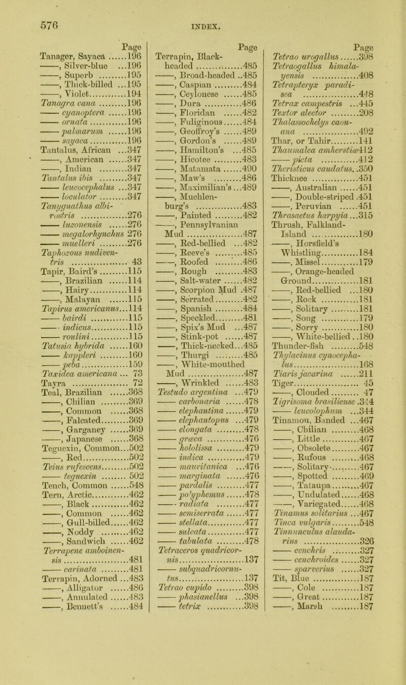 Page Tanager, Sayaca 106 , Silver-blue ...196 , Superb 195 .Thick-billed ...195 , Violet 194 Tanagra cana 196 cyanoptera 196 ornata 196 palmarum 196 sayaca 196 Tantalus, African ...347 , American 347 , Indian 347 Tantalus ibis 347 leucocephalus ...347 loculator 347 Tanygnathus albi- rostris ...276 —— luzonensis 276 meg alar hynchus 276 muelleri 276 Taphozous nudiven- tris 43 Tapir, Baird’s 115 , Brazilian 114 , Hairy 114 , Malayan 115 Tapir us americanus... 114 bairdi 115 indicus 115 roulini 115 Tatusia hybrida 160 kappleri 160 peba 159 Taxidea americana ... 73 Tayra 72 Teal, Brazilian 368 , Chilian 369 , Common 368 , Falcated 369 , Garganey 369 , Japanese 368 Teguexin, Common...502 , Bed 502 Terns rufescens 502 teguexin 502 Tench, Common 548 Tern, Arctic 462 , Black 462 , Common 462 , Gull-billed 462 , Noddy 462 , Sandwich 462 Terrapene amboinen- sis 481 carinata 481 Terrapin, Adorned ...483 , Alligator 486 , Annulated -183 , Bennett’s 484 Page Terrapin, Black- headed 485 , Broad-headed ..485 , Caspian 484 , Ceylonese 485 , Dura 486 , Floridan 482 , Fuliginous 484 , Geolfroy’s 489 , Gordon’s 489 , Hamilton’s ...485 , Hicotee 483 , Matamata 490 , Maw’s 486 , Maximilian’s ...489 , Muehlen- burg’s 483 , Painted 482 , Pennsylvanian Mud 487 , Bed-bellied ...482 , Beeve’s 485 , Boofed 486 , Bough 483 , Salt-water 482 , Scorpion Mud .487 , Serrated 482 , Spanish 484 , Speckled 481 , Spix’s Mud ...487 , Stink-pot 487 , Thick-necked...485 , Thurgi 485 , White-mouthed Mud 487 , Wrinkled 483 Testudo argentina .. .479 carbonaria 478 elephantina 479 elephantopus ...479 elongata 478 greeca 476 hololissa 479 indica 479 mauritanica ...476 marginata 476 pardalis 477 polyphemus 478 radiata 477 semiserrata 477 stcllata 477 sulcata 477 tabulata 478 Tetraceros quadricor- nis 137 subquadricornu- tus 137 Tetrao cupido .398 phasianellus ...398 tetrix 398 Page Tetrao urogalius 398 Tetraogallus liimala- yensis 408 Tetraptcryx paradi- sea 418 Tetrax campestris ...445 Textor alector 208 Thalassochelys caou- anci 492 Thar, or Tahir 141 Thaumalea amherstiaA 12 picta 412 Theristicus caudatus. .350 Thieknee 451 , Australian 451 , Double-striped .451 , Peruvian 451 Thrasaetus harpyia.. .315 Thrush, Falkland- Island .180 , Horsfield’s Whistling 184 , Missel 179 , Orange-headed Ground 181 , Bed-bellied ...180 , Bock 181 , Solitary 181 , Song 179 , Sorry 180 , White-bellied . .180 Thunder-fish 548 Thylacinus ct/nocepha- lus 168 Tiaris jacarina 211 Tiger -15 , Clouded 47 I/grisoma brasiliense .314 leucolophum ...344 Tinamou, Banded ...467 , Chilian 468 , Little 467 , Obsolete 467 , Bufous ,..468 , Solitary-.... -167 , Spotted 469 , Tataupa 467 , Undulated 468 , Variegated 468 Tinamus solitarius ...467 Tinea vulgaris 548 Tinnunculus alaitda- rius 326 cenchris 327 cenchroides 327 sparverius 327 Tit, Blue 187 , Cole 187 , Great 187 , Marsh 187