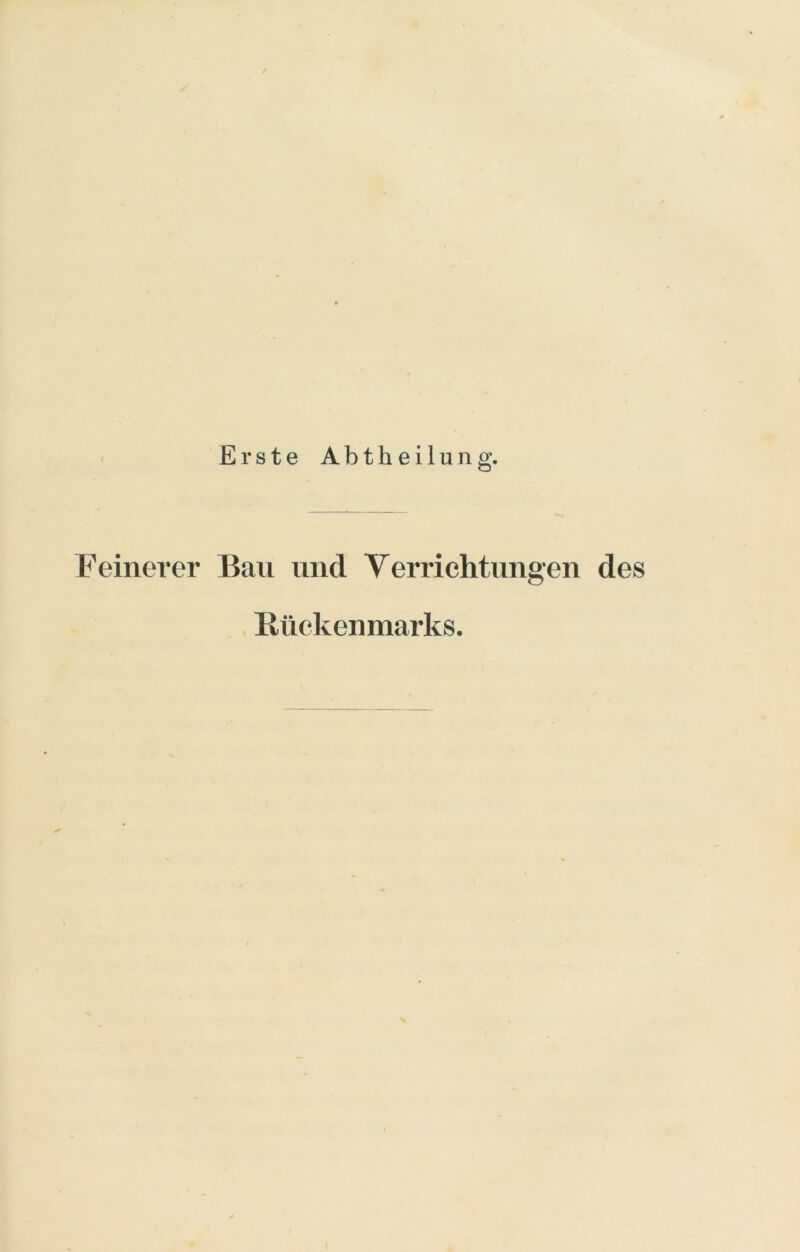 Erste Abtheilung. Feinerer Ban und Verrichtungen des Rückenmarks.