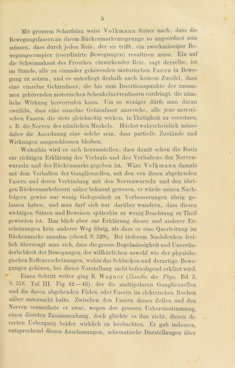 Mit grossem Scliarfsinii weist Volkmann ferner nach, dass die Bewegiingsfasern an ihrem Rückenmarksurspriinge so angeordnet sein müssen, dass durch jeden Reiz, der sie trifft, ein zweckmässiger Be- wegiingscomplex (coordinirte Bewegungen) resultiren muss. Ein auf die Schwimmhaut des Frosches einwirkender Reiz, sagt derselbe, ist im Stande, alle zu einander gehörenden motorisclien Fasern in Bewe- gung zu setzen, und es unterliegt deshalb auch keinem Zweifel, dass eine einzelne Gehirnfaser, die bis zum Insertionspunkte der zusam- men gehörenden motorischen Schenkelnervenfasern vordringt, die näm- liche Wirkung hervorrufen kann. Um so weniger dürfe man daran zweifeln, dass eine einzelne Gehirnfaser ausreiche, alle jene motori- schen Fasern, die stets gleichzeitig wirken, in Thätigkeit zu versetzen, z. B. die,Nerven des nämlichen Muskels. Höchstwahrscheinlich müsse daher die Anordnung eine solche sein, dass partielle Zustände und Wirkungen ausgeschlossen bleiben. Weiterhin wird es sich herausstellen, dass damit schon die Basis zur richtigen Erklärung des Verlaufs und des Verhaltens der Nerven- wurzeln und des Rückenmarks gegeben ist. Wäre VoIlonann damals mit dem Verhalten der Ganglienzellen, mit den von ihnen ahgehenden Fasern und deren Verhiiidung mit den Nervenwurzeln und den übri- gen Rückenmarksfasern näher bekannt gewesen, er würde seinen Nach- folgern gewiss nur wenig Gelegenheit zu Verbesserungen übrig ge- lassen haben, und man darf sich nur darüber wundern, dass diesen wichtigen Sätzen und Beweisen s]:)äterhin zu wenig Beachtung zuTheil geworden ist. Ihm blieb aber zur Erklärung dieser und anderer Er- scheinungen kein anderer Weg übrig, als dass er eine Querleitung im Rückenmarke annahm (ebend. S. 528). Bei tieferem Nachdenken frei- lich überzeugt man sich, dass die grosse Regelmässigkeit und Unverän- derlichkeit der Bewegungen, der willkürlichen sowohl wie der physiolo- gischen Reflexerscheinungen, wohin das Schlucken und derartige Bewe- gungen gehören, bei dieser Vorstellung nicht befriedigend erklärt wird. Einen Schritt weiter ging R. Wagner (Ilandiv. der Pliys. Bd. 3, S. 378. Taf. III. Fig. 42 — 45), der die multipolaren Ganglienzellen und die davon abgehenden Fäden oder Fasern im elektrischen Rochen näher untersucht hatte. Zwischen den FAsern dieser Zellen und den Nerven vermuthete er zwar, wegen der grossen Uebereinstimmung, einen directen Zusammenhang, doch glückte es ihm nicht, diesen di- recten Uebergang beider wirklich zu beobachten. Er gab indessen, entsprechend diesen Anschauungen, schematische Darstellungen über