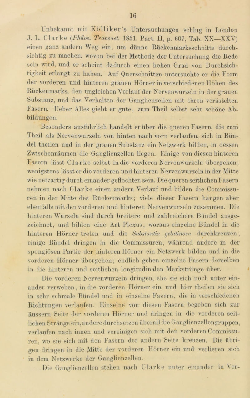 Unbekannt mit Kölliker’s Untersuchungen schlug in London J. L. Clarke {PMos, TransacL 1851. Part. II, p. 607, Tab. XX—XXV) einen ganz andern Weg ein, um dünne Rückenmarksschnitte durch- sichtig zu machen, wovon bei der Methode der Untersuchung die Rede sein wird, und er scheint dadurch einen hohen Grad von Durchsich- tigkeit erlangt zu haben. Auf Querschnitten untersuchte er die Form der vorderen und hinteren grauen Hörner in verschiedenen Höhen des Rückenmarks, den ungleichen Verlauf der Nervenwurzeln in der grauen Substanz, und das Verhalten der Ganglienzellen mit ihren verästelten Fasern. Ueber Alles giebt er gute, zum Theil selbst sehr schöne Ab- bildungen. Besonders ausführlich handelt er über die queren Fasern, die zuni Theil als Nervenwurzeln von hinten nach vorn verlaufen, sich in Bün- del theilen und in der grauen Substanz ein Netzwerk bilden, in dessen Zwischenräumen die Ganglienzellen liegen. Einige von diesen hinteren Fasern lässt Clarke selbst in die vorderen Nerveuwurzeln übergehen; wenigstens lässt er die vorderen und hinteren Nervenwurzeln in der Mitte wie netzartig durch einander geflochten sein. Die queren seitlichen Fasern nehmen nach Clarke einen andern Verlauf und bilden die Commissu- ren in der Mitte des Rückenmarks; viele dieser Fasern hängen aber ebenfalls mit den vorderen und hinteren Nervenwurzeln zusammen. Die hinteren Wurzeln sind durch breitere und zahlreichere Bündel ausge- zeichnet, und bilden eine Art Plexus, woraus einzelne Bündel in die hinteren Hörner treten und die Substantia gelatinosa durchkreuzen; einige Bündel dringen in die Commissuren, während andere in der spongiösen Partie der hinteren Hörner ein Netzwerk bilden und in die vorderen Hörner übergehen; endlich gehen einzelne Fasern derselben in die hinteren und seitlichen longitudinalen Markstränge über. Die vorderen Nervenwurzeln dringen, ehe sie sich noch unter ein- ander verweben, in die vorderen Hörner ein, und hier theilen sie sich in sehr schmale Bündel und in einzelne Fasern, die in verschiedenen Richtungen verlaufen. Einzelne von diesen Fasern begel)en sich zur äussern iSeite der vorderen Hörner und dringen in die vorderen seit- lichen Stränge ein, andere durchsetzen überall die Ganglienzellengruppen, verlaufen nach innen und vereinigen sich mit den vorderen Commissu- ren, wo sie sich mit den Fasern der andern Seite kreuzen. Die übri- gen dringen in die Mitte der vorderen Hörner ein und verlieren sich in dem Netzwerke der Ganglienzellen. Die Ganglienzellen stehen nach Clarke unter einander in Ver-