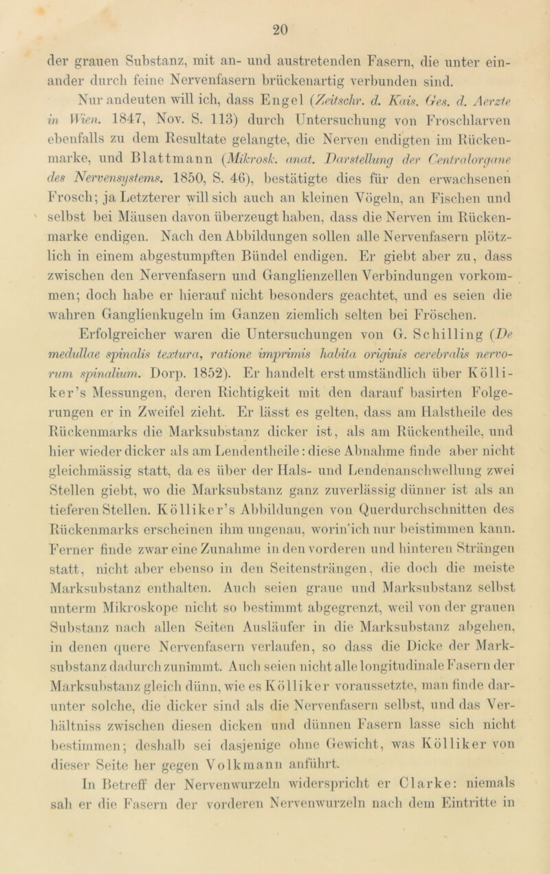 der grauen Substanz, mit an- nnd anstretenden Fasern, die unter ein- ander dnrcli feine Nervenfasern brnckenartig verl)nnden sind. Nur andenten will ich, dass Engel {Zeitsehr. d. Kaü. Ges. d. Aerzfe in Wien. 1847, Nov. S. 113) dnreb Untersnclinng von Froscblarven ebenfalls zu dem Resnltate gelangte, die Nerven endigten im Klicken- marke, nnd Blatt mann {^Mikrosk. anat. JDarsiellung der Cenfvalorefane des Nervensystems. 1850, S. 46), bestätigte dies für den erwachsenen Frosch; ja Letzterer will sich auch an kleinen Vögeln, an Fischen nnd selbst bei Mäusen davon überzengt lial)en, dass die Nerven im Bücken- marke endigen. Nach den Abbildnngen sollen alle Nervenfasern plötz- lich in einem abgestumpften Bündel endigen. Er giebt aber zn, dass zwischen den Nervenfasern nnd Ganglienzellen Verbindungen verkom- men; doch habe er hierauf nicht besonders geaclitet, nnd es seien die wahren Ganglienkngeln im Ganzen ziemlicli selten bei Fröschen. Erfolgreicher waren die Untersnehnngen von G. Schilling {De. medidlae spinnlis texfura, ratione imprmiis liabifa originis cerebrrdis nervo- nmi spinalium. Dorp. 1852). Er handelt erst umständlich über Kölli- ker’s Messnngen, deren Bichtigkeit mit den darauf Ijasirten Folge- rungen er in Zweifel zieht. Er lässt es gelten, dass am llalstheile des Bückenmarks die Marksnbstanz dicker ist, als am Bückentheile, nnd hier wieder dicker als am Lendentlieile: diese Abnahme finde aber nicht gleichmässig statt, da es über der Hals- nnd Lendenanscliwellnng zwei Stellen gieljt, wo die Marksnbstanz ganz zuverlässig dünner ist als an tieferen Stellen. Kölliker’s Abl)ildnngen von Qnerdnrchsclmitten des Bückenmarks erscheinen ihm nngenan, worin'ichnnr 1)eistimmen kann. Ferner finde zwar eine Znnalime in den vorderen nnd liinteren Strängen statt, nicht aber ebenso in den Seitensträngen, die doch die meiste Marksnl)stanz enthalten. Auch seien grane nnd Marksnbstanz selbst nnterm Mikroskoj^e nicht so bestimmt allgegrenzt, weil von der grauen Substanz nach allen Seiten Anslänfer in die Marksnlistanz abgehen, in denen qnere Nervenfasern verlaufen, so dass die Dicke der Mark- snbstanz dadurch znnimmt. Ancli seien nicht alle longitudinale Fasern der Marksnbstanz gleich dünn, wie es K ölliker voranssetzte, man finde dar- unter solche, die dicker sind als die Nervenfasern selbst, nnd das Ver- hältniss zwischen diesen dicken nnd dünnen Fasern lasse sich nicht bestimmen; deshalb sei dasjenige ohne Gewicht, was Kölliker von dieser Seite bei* gegen Volkmann anführt. In Betreff der Nervenwnrzeln widerspricht er Clarke: niemals sah er die Fasern der vorderen Nervenwnrzeln nach dem Eintritte in