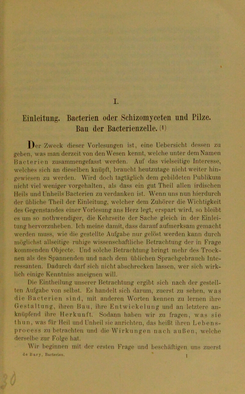 Einleitung. Bacterien oder Scliizomyceten und Pilze. Bau der Bacterienzelle. (0 L)er Zweck dieser Vorlesungen ist, eine Uebersicht dessen zu geben, was man derzeit von den Wesen kennt, welche unter dem Namen Hacterien zusammengefasst werden. Auf das vielseitige Interesse, welches sich an dieselben knüpft, braucht heutzutage nicht weiter hin- gewiesen zu werden. Wird doch tagtäglich dem gebildeten Publikum nicht viel weniger vorgehalten, als dass ein gut Theil allen irdischen Heils und Unheils Bacterien zu verdanken ist. Wenn uns nun hierdurch der übliche Theil der Einleitung, welcher dem Zuhörer die Wichtigkeit des Gegenstandes einer Vorlesung ans Herz legt, erspart wird, so bleibt es um so nothwendiger, die Kehrseite der Sache gleich in der Einlei- tung hervorzuheben. Ich meine damit, dass darauf aufmerksam gemacht werden muss, wie die gestellte Aufgabe nur gelöst werden kann durch möglichst allseitige ruhige wissenschaftliche Betrachtung der in Frage kommenden Objecte. Und solche Betrachtung bringt mehr des Trock- nen als des Spannenden und nach dem üblichen Sprachgebrauch Inte- ressanten. Dadurch darf sich nicht abscbrecken lassen, wer sich wirk- lich einige Kenntniss aneignen will. Die Eintheilung unserer Betrachtung ergibt sich nach der gestell- ten Aufgabe von selbst. Es handelt sich darum, zuerst zu sehen, was die Bacterien sind, mit anderen Worten kennen zu lernen ihre Gestaltung, ihren Bau, ihre Entwickelung und an letztere an- knüpfend ihre Herkunft. Sodann haben wir zu fragen, was sie thun, was für Heil und Unheil sie anrichten, das heißt ihren Lebens- process zu betrachten und die Wirkungen nach außen, welche derselbe zur Folge hat. Wir beginnen mit der ersten PTage und bescliäftigen uns zuerst