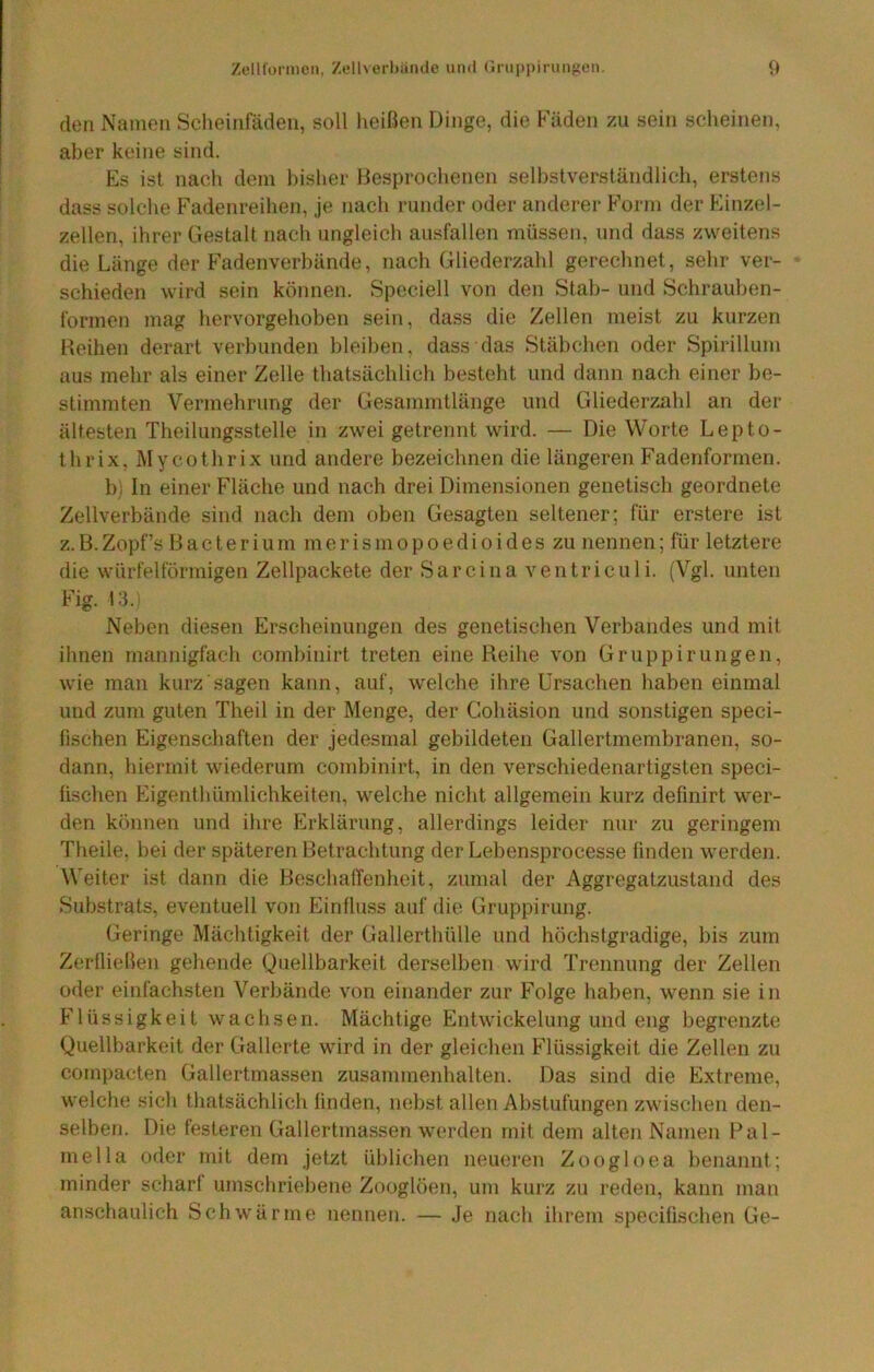 Zelllormeii, Zellverhiinde und (Jruppiriiniieii, <» (len Namen Scheinfäden, soll lieißen Dinge, die Fäden zu sein scheinen, aber keine sind. Es ist nach dem bisher Besprochenen selbstverständlich, erstens dass solche Fadenreihen, je nach runder oder anderer Form der Einzel- zellen, ihrer Gestalt nach ungleich ausfallen müssen, und dass zweitens die Länge der Fadenverbände, nach Gliederzahl gerechnet, sehr ver- schieden wird sein können. Speciell von den Stab- und Schrauben- formen mag hervorgehoben sein, dass die Zellen meist zu kurzen Reihen derart verbunden bleiben, dass das Stäbchen oder Spirillum aus mehr als einer Zelle thatsächlich besteht und dann nach einer be- stimmten Vermehrung der Gesammtlänge und Gliederz^hl an der ältesten Theilungsstelle in zwei getrennt wird. — Die Worte Lepto- thrix, Mycothrix und andere bezeichnen die längeren F'adenfornien. b) In einer Fläche und nach drei Dimensionen genetisch geordnete Zellverbände sind nach dem oben Gesagten seltener; für erstere ist z. B.Zopf’s Bac ter ium mer is mo p o edioi des zu nennen; für letztere die würfelförmigen Zellpackete der Sarcina ventricul i. (Vgl. unten Fig. 13.: Neben diesen Erscheinungen des genetischen Verbandes und mit ihnen mannigfach combinirt treten eine Reihe von Gruppirungeii, wie man kurz sagen kann, auf, welche ihre Ursachen haben einmal und zum guten Theil in der Menge, der Cohäsion und sonstigen speci- fischen Eigenschaften der jedesmal gebildeten Gallertmembranen, so- dann, hiermit wiederum combinirt, in den verschiedenartigsten speci- fisclien Eigenthümlichkeiten, welche nicht allgemein kurz definirt wer- den können und ihre Erklärung, allerdings leider nur zu geringem Theile. bei der späteren Betrachtung der Lebensprocesse linden werden. Weiter ist dann die Beschaffenheit, zumal der Aggregatzustand des Substrats, eventuell von Einfluss auf die Gruppirung. Geringe Mächtigkeit der Gallerthülle und höchstgradige, bis zum Zerfliellen gehende Quellbarkeit derselben wird Trennung der Zellen oder einfachsten Verbände von einander zur Folge haben, wenn sie in Flüssigkeit wachsen. Mächtige Entwickelung und eng begrenzte Quellbarkeit der Gallerte wird in der gleichen Flüssigkeit die Zellen zu compacten Gallertmassen Zusammenhalten. Das sind die Extreme, welche sich thatsächlich linden, nebst allen Abstufungen zwischen den- selben. Die festeren Gallertmassen werden mit dem alten Namen Pal- mella oder mit dem jetzt üblichen neueren Zoogloea benannt; minder scharf umschriebene Zooglöen, um kurz zu reden, kann man anschaulich Schwärme nennen. — Je nach ihrem specilischen Ge-