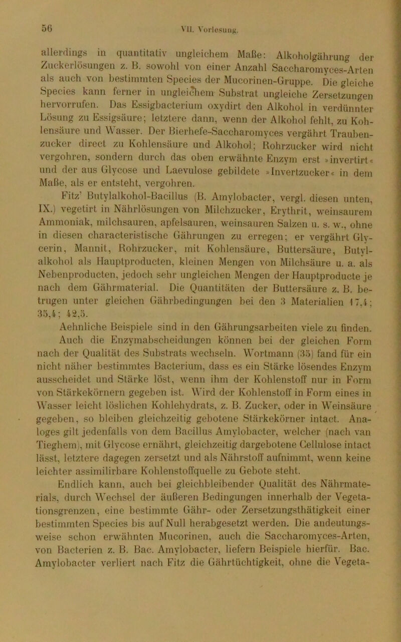 allerdings in quantitativ ungleichem Maße: Alkoholgährung der Zuckerlösungen z. B. sowohl von einer Anzahl Saccharomyces-Arten als auch von bestimmten Species der Mucorinen-Gruppe. Die gleiche Species kann ferner in unglei^iem Substrat ungleiche Zersetzungen hervorrufen. Das Essighacterium oxydirt den Alkohol in verdünnter Lösung zu Essigsäure; letztere dann, wenn der Alkohol fehlt, zu Koh- lensäure und W'asser. Der Bierhefe-Saccharomyces vergährt Trauben- zucker direct zu Kohlensäure und Alkohol; Rohrzucker wird nicht vergohren, sondern durch das oben erwähnte Enzym erst »invertirt« und der aus Glycose und Laevulose gebildete »Invertzucker« in dem Maße, als er entsteht, vergohren. Fitz’ Butylalkohol-Bacillus (B. Amylobacter, vergl. diesen unten, IX.) vegetirt in Nährlo.sungen von Milchzucker, Erythrit, weinsaureni Ammoniak, milchsauren, apfelsauren, weinsauren Salzen u. s. w., ohne in diesen characteristische Gährungen zu erregen; er vergährt Glv- cerin, Mamiit, Rohrzucker, mit Kohlensäure, Buttersäure, Butyl- alkohol als Hauptproducten, kleinen Mengen von Milchsäure u. a. als Nebenproducten, jedoch sehr ungleichen Mengen der Hauptproducte je nach dem Gährmaterial. Die Quantitäten der Buttersäure z. B. be- trugen unter gleichen Gährbedingungen bei den 3 Materialien IT.i; 35,4; 4'2,5. Aehnliche Beispiele sind in den Gährungsarbeiten viele zu finden. Auch die Enzymabscheidungen können bei der gleichen Form nach der Qualität des Substrats wechseln. Wortmann (35) fand für ein nicht näher bestimmtes Bacterium, dass es ein Stärke lösendes Enzym ausscheidet und Stärke löst, wenn ihm der Kohlenstoff nur in Form von Stärkekörnern gegeben ist. Wird der Kohlenstoff in Form eines in Wasser leicht löslichen Kohlehvdrats, z. B. Zucker, oder in Weinsäure gegeben, .so bleiben gleichzeitig gebotene Stärkekörner intact. Ana- loges gilt jedenfalls von dem Bacillus Amylobacter, welcher (nach van Tieghem), mit Glycose ernährt, gleichzeitig dargebotene Cellulose intact lässt, letztere dagegen zersetzt und als Nährstoff aufnimmt, wenn keine leichter assimilirbare Kohlenstoffquelle zu Gebote steht. Endlich kann, auch bei gleichbleibender Qualität des Nährmate- rials, durch Wechsel der äußeren Bedingungen innerhalb der Vegeta- tionsgrenzen, eine bestimmte Gähr- oder Zersetzungsthätigkeit einer bestimmten Species bis auf Null herabgesetzt werden. Die andeutungs- weise schon erwähnten Mucorinen, auch die Saccharomyce.s-Arten, von Bacterien z. B. Bac. Amylobacter, liefern Beispiele hierfür. Bac. Amylobacter verliert nach Fitz die Gährtüchtigkeit, ohne die Vegeta-