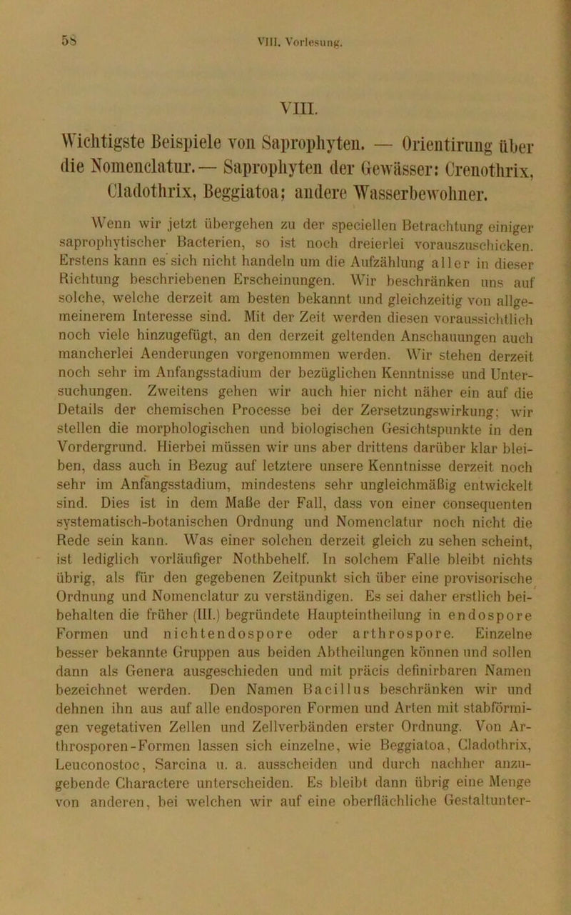 VIII. Wichtigste Beispiele von Sapropliyten. — Orientiriiiig über die Noiiienclatiir. — Sapropliyten der Gewässer: Crenotlirix, Cladothrix, Beggiatoa; andere Wasserbewoliner. Wenn wir jetzt übergehen zu der speciellen Betrachtung einiger saprophytischer Bacterien, so ist noch dreierlei vorauszuschicken. Erstens kann es'sich nicht handeln um die Aufzählung aller in die.ser Bichtung beschriebenen Erscheinungen. Wir beschränken uns auf solche, welche derzeit am besten bekannt und gleichzeitig von allge- meinerem Interesse sind. Mit der Zeit werden diesen voraussichtlich noch viele hinzugefügt, an den derzeit geltenden Anschauungen auch mancherlei Aenderungen vorgenommen werden. Wir stehen derzeit noch sehr im Anfangsstadium der bezüglichen Kenntnisse und Unter- suchungen. Zweitens gehen wir auch hier nicht näher ein auf die Details der chemischen Processe bei der Zersetzungswirkung; wir stellen die morphologischen und biologischen Gesichtspunkte in den Vordergrund. Hierbei müssen wir uns aber drittens darüber klar blei- ben, dass auch in Bezug auf letztere unsere Kenntnisse derzeit noch sehr im Anfangsstadium, mindestens sehr ungleichmäßig entwickelt sind. Dies ist in dem Maße der Fall, dass von einer consequenten systematisch-botanischen Ordnung und Nomenclatur noch nicht die Rede sein kann. Was einer solchen derzeit gleich zu sehen scheint, ist lediglich vorläufiger Nothbehelf. In solchem Falle hleibt nichts übrig, als für den gegebenen Zeitpunkt sich über eine provisorische Ordnung und Nomenclatur zu verständigen. Es sei daher erstlich bei- behalten die früher (III.) begründete Haupteintheilung in endospore Formen und nichtendospore oder arthrospore. Einzelne besser bekannte Gruppen aus beiden Abtheilungen können und sollen dann als Genera ausgeschieden und mit präcis definirbaren Namen bezeichnet werden. Den Namen Bacillus beschränken wir und dehnen ihn aus auf alle endosporen Formen und Arten mit stabförmi- gen vegetativen Zellen und Zellverbänden erster Ordnung. Von Ar- tbrosporen-Formen lassen sich einzelne, wie Beggiatoa, Cladothrix, Leuconostoc, Sarcina u. a. ausscheiden und durch nachher anzu- gebende Charactere unterscheiden. Es bleibt dann übrig eine Menge von anderen, bei welchen wir auf eine oherflächliche Gestaltunter-