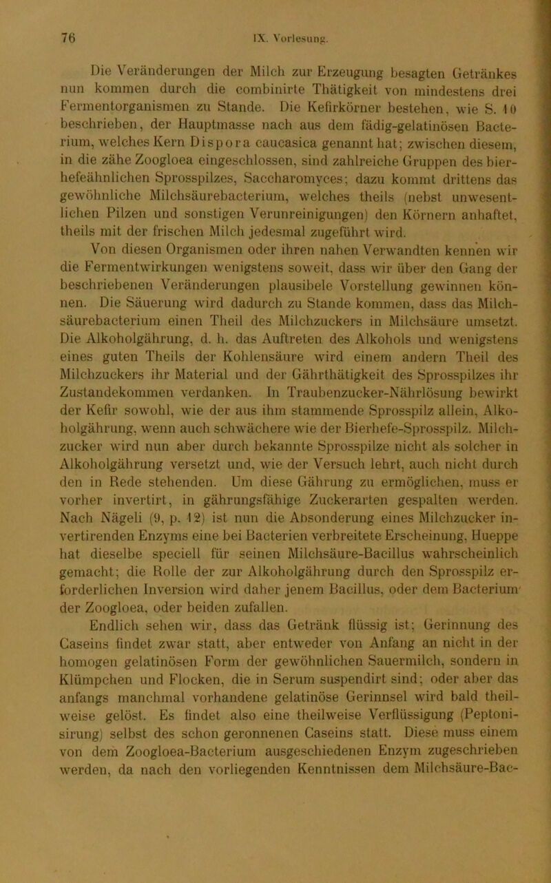 Die Veränderungen der Milch zur Erzeugung besagten Getränkes nun kommen durch die combinirte Thätigkeit von mindestens drei Fermentorganismen zu Stande. Die Kefirkörner bestehen, M-ie S. 10 beschrieben, der Hauptmasse nacli aus dem fädig-gelatinösen Bacte- rium, welches Kern Dispora caucasica genannt hat; zM'ischen diesem, in die zähe Zoogloea eingeschlossen, sind zahlreiche Gruppen des bier- hefeähnlichen Sprosspilzes, Saccharomyces; dazu kommt drittens das gewöhnliche Milchsäurebacterium, welches theils (nebst unwesent- lichen Pilzen und sonstigen Verunreinigungen) den Körnern anhaftet, theils mit der frischen Milch jedesmal zugeführl wird. Von diesen Organismen oder ihren nahen Verwandten kennen wir die Fermentwirkungen wenigstens soweit, dass wir über den Gang der beschriebenen Veränderungen plausibele Vorstellung gewinnen kön- nen. Die Säuerung wird dadurch zu Stande kommen, dass das Milch- säurebacterium einen Theil des Milchzuckers in Milchsäure umsetzt. Die Alkoholgährung, d. h. das Auftreten des Alkohols und wenigstens eines guten Theils der Kohlensäure wird einem andern Theil des Milchzuckers ihr Material und der Gährthätigkeit des Sprosspilzes ihr Zustandekommen verdanken, ln Traubenzucker-Nährlösung bewirkt der Kefir sowohl, wie der aus ihm stammende Sprosspilz allein, Alko- holgährung, wenn auch schwächere wie der Bierhefe-Sprosspilz. Milch- zucker wird nun aber durch bekannte Sprosspilze nicht als solcher in Alkoholgährung versetzt und, wie der Versuch lehrt, auch nicht durch den in Rede stehenden. Um diese Gährung zu ermöglichen, muss er vorher invertirt, in gährungsfähige Zuckerarten gespalten werden. Nach Nägeli (9, p. 12) ist nun die Absonderung eines Milchzucker in- vertirenden Enzyms eine bei Bacterien verbreitete Erscheinung, Hueppe hat dieselbe speciell für seinen Milchsäure-Bacillus wahrscheinlich gemacht; die Rolle der zur Alkoholgährung durch den Sprosspilz er- forderlichen Inversion wird daher jenem Bacillus, oder dem Bacterium der Zoogloea, oder beiden zufallen. Endlich sehen wir, dass das Getränk flüssig ist; Gerinnung des Gaseins findet zwar statt, aber entweder von Anfang an nicht in der homogen gelatinösen Form der gewöhnlichen Sauermilch, sondern in Klümpchen und Flocken, die in Serum suspendirt sind; oder aber das anfangs manchmal vorhandene gelatinöse Gerinnsel wird bald theil- weise gelöst. Es findet also eine theilweise Verflüssigung (Peptoni- sirung) selbst des schon geronnenen Caseins statt. Diese muss einem von dem Zoogloea-Bacterium ausgeschiedenen Enzym zugeschrieben werden, da nach den vorliegenden Kenntnissen dem Milchsäure-Bac-