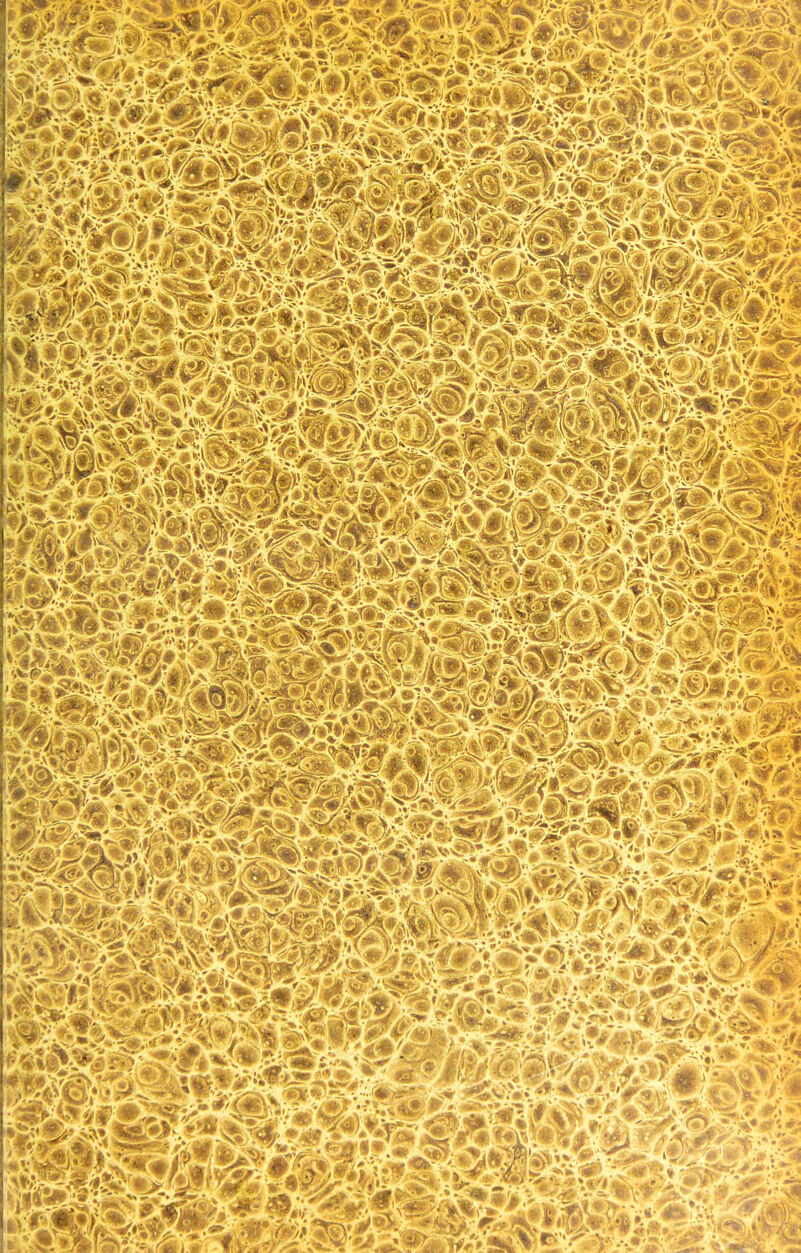 pas 4 è&WÂ *km ,‘»w; ^É£s^i £m&s& y hK:,vi'f; pr/ÿ ^ ^üüâ^ifSfe'î