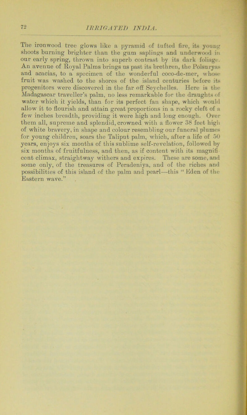 The ironwood tree glows like n, pyramid of tufted fire, its youu;r shoots burning brighter than the gum saplings and underwo<Hl in our early spring, thrown into superb contrast by its dark foliage. An avenue of Royal Palms brings us past its brethren, the Polsniyas and acacias, to a specimen of the wonderful coco-de-mer, whos<* fruit was washed to the shores of the island centuries before its progenitors were discovered in the far off Seychelles. Here is the Madagascar traveller’s palm, no less remarkable for the draughts of water which it yields, than for its perfect fan shape, which would allow it to flourish and attain great proportions in a rocky cleft of a few inches breadth, providing it were high and long enough. Over them all, supreme and splendid, crowned with a flower 38 feet high of white bravery, in shape and colour resembling our funeral plumes for young children, soars the Taliput palm, which, after a life of 50 years, enjoys six months of this sublime self-revelation, followed by six months of fruitfulness, and then, as if content with its magnifi cent climax, straightway withers and expires. These are some, and some only, of the treasures of Peradeniya, and of the riches and possibilities of this island of the palm and pearl—this “ Kden of the Eastern wave.”