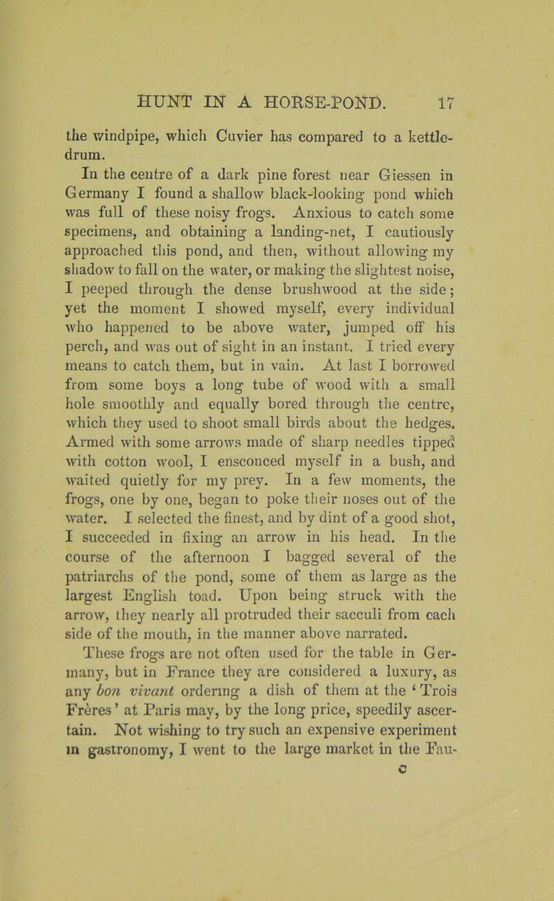 the windpipe, whicli Cavier has compared to a kettle- drum. In the centre of a dark pine forest near Giessen in Germany I found a shallow black-looking pond which was full of these noisy frogs. Anxious to catch some specimens, and obtaining a landing-net, I cautiously approached this pond, and then, without, allowing my shadow to fall on the water, or making the slightest noise, I peeped through the dense brushwood at the side; yet the moment I showed myself, every individual who happened to be above water, jumped off his perch, and was out of sight in an instant. I tried every means to catch them, but in vain. At last I borrowed from some boys a long tube of wood with a small hole smoothly and equally bored through the centre, which they used to shoot small birds about the hedges. Armed with some arrows made of sharp needles tipped with cotton wool, I ensconced myself in a bush, and waited quietly for my prey. In a few moments, the frogs, one by one, began to poke their noses out of the water. I selected the finest, and by dint of a good shot, I succeeded in fixing an arrow in his head. In the course of the afternoon I bagged several of the patriarchs of the pond, some of them as large as the largest English toad. Upon being struck with the arrow, they nearly all protruded their sacculi from each side of the mouth, in the manner above narrated. These frogs are not often used for the table in Ger- many, but in France they are considered a luxury, as any bon vivant ordering a dish of them at the ‘ Trois Freres ’ at Paris may, by the long price, speedily ascer- tain. Not wishing to try such an expensive experiment m gastronomy, I went to the large market in the Fau-
