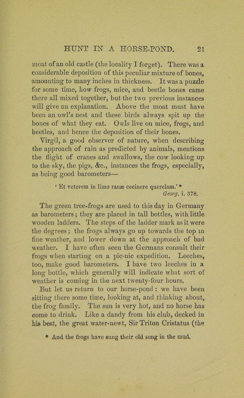 moat of an old castle (the locality I forget). There was a considerable deposition of this peculiar mixture of bones, amounting to many inches in thickness. It was a puzzle for some time, how frogs, mice, and beetle bones came there all mixed together, but the two previous instances will give an explanation. Above the moat must have been an owl’s nest and these birds ahvays spit up the bones of what they eat. OwTls live on mice, frogs, and beetles, and hence the deposition of their bones. Virgil, a good observer of nature, when describing the approach of rain as predicted by animals, mentions the flight of cranes and swallows, the cow looking up to the sky, the pigs, &c., instances the frogs, especially, as being good barometers— ‘ Et veterem in limo range cecinere querelam.’ * Georg, i. 378. The green tree-frogs are used to this day in Germany as barometers; they are placed in tall bottles, with little wooden ladders. The steps of the ladder mark as it were the degrees; the frogs always go up towards the top in fine weather, and lower down at the approach of bad weather. I have often seen the Germans consult their frogs when starting on a pic-nic expedition. Leeches, too, make good barometers. I have tw'o leeches in a long bottle, which generally will indicate what sort of weather is coming in the next twenty-four hours. But let us return to our horse-pond: we have been sitting there some time, looking at, and thinking about, the frog family. The sun is very hot, and no horse has come to drink. Like a dandy from his club, decked in his best, the great water-newt, Sir Triton Cristatus (the * And the frogs have sung their old song in the mud.