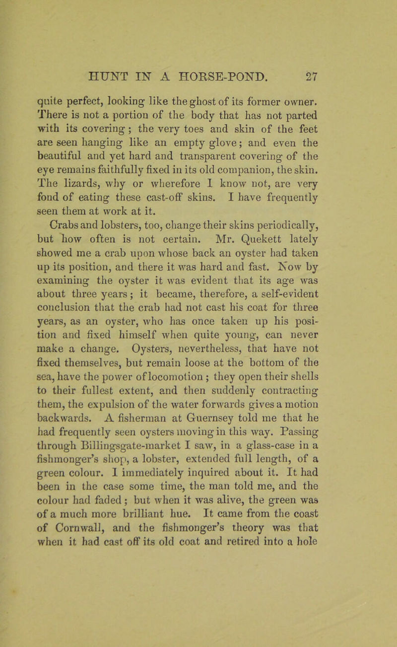 quite perfect, looking like the ghost of its former owner. There is not a portion of the body that has not parted with its covering; the very toes and skin of the feet are seen hanging like an empty glove; and even the beautiful and yet hard and transparent covering of the eye remains faithfully fixed in its old companion, the skin. The lizards, why or wherefore 1 know not, are very fond of eating these cast-off skins. I have frequently seen them at work at it. Crabs and lobsters, too, change their skins periodically, but how often is not certain. Mr. Quekett lately showed me a crab upon whose back an oyster had taken up its position, and there it was hard and fast. Now by examining the oyster it was evident that its age was about three years; it became, therefore, a self-evident conclusion that the crab had not cast his coat for three years, as an oyster, who has once taken up his posi- tion and fixed himself when quite young, can never make a change. Oystei’s, nevertheless, that have not fixed themselves, but remain loose at the bottom of the sea, have the power of locomotion ; they open their shells to their fullest extent, and then suddenly contracting them, the expulsion of the water forwards gives a motion backwards. A fisherman at Guernsey told me that he had frequently seen oysters moving in this way. Passing through Billingsgate-market I saw, in a glass-case in a fishmonger’s shop, a lobster, extended full length, of a green colour. I immediately inquired about it. It had been in the case some time, the man told me, and the colour had faded; but when it was alive, the green was of a much more brilliant hue. It came from the coast of Cornwall, and the fishmonger’s theory was that when it had cast off its old coat and retired into a hole