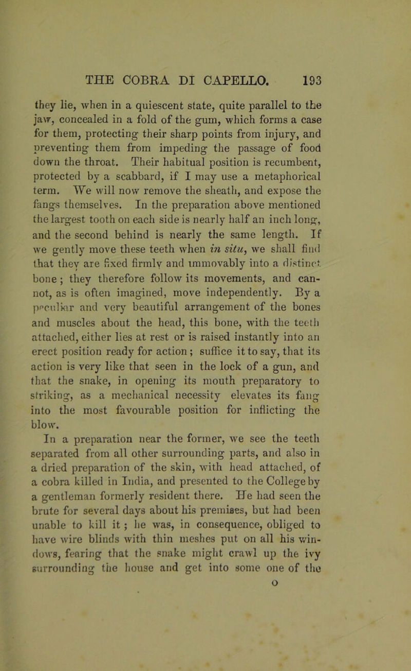 they lie, when in a quiescent state, quite parallel to the jaw, concealed in a fold of the gum, which forms a case for them, protecting their sharp points from injury, and preventing them from impeding the passage of food down the throat. Their habitual position is recumbent, protected by a scabbard, if I may use a metaphorical term. We will now remove the sheath, and expose the fangs themselves. In the preparation above mentioned the largest tooth on each side is nearly half an inch long, and the second behind is nearly the same length. If we gently move these teeth when in situ, we shall find that they are fixed firmlv and immovably into a distinct bone ; they therefore follow its movements, and can- not, as is often imagined, move independently. By a peculiar and very beautiful arrangement of the bones and muscles about the head, this bone, with the teeth attached, either lies at rest or is raised instantly into an erect position ready for action ; suffice it to say, that its action is very like that seen in the lock of a gun, and that the snake, in opening its mouth preparatory to striking, as a mechanical necessity elevates its fang into the most favourable position for inflicting the blow. In a preparation near the former, we see the teeth separated from all other surrounding parts, and also in a dried preparation of the skin, with head attached, of a cobra killed in India, and presented to the College by a gentleman formerly resident there. He had seen the brute for several days about his premises, but had been unable to kill it; lie was, in consequence, obliged to have wire blinds with thin meshes put on all his win- dows, fearing that the snake might crawl up the ivy surrounding the house and get into some one of the