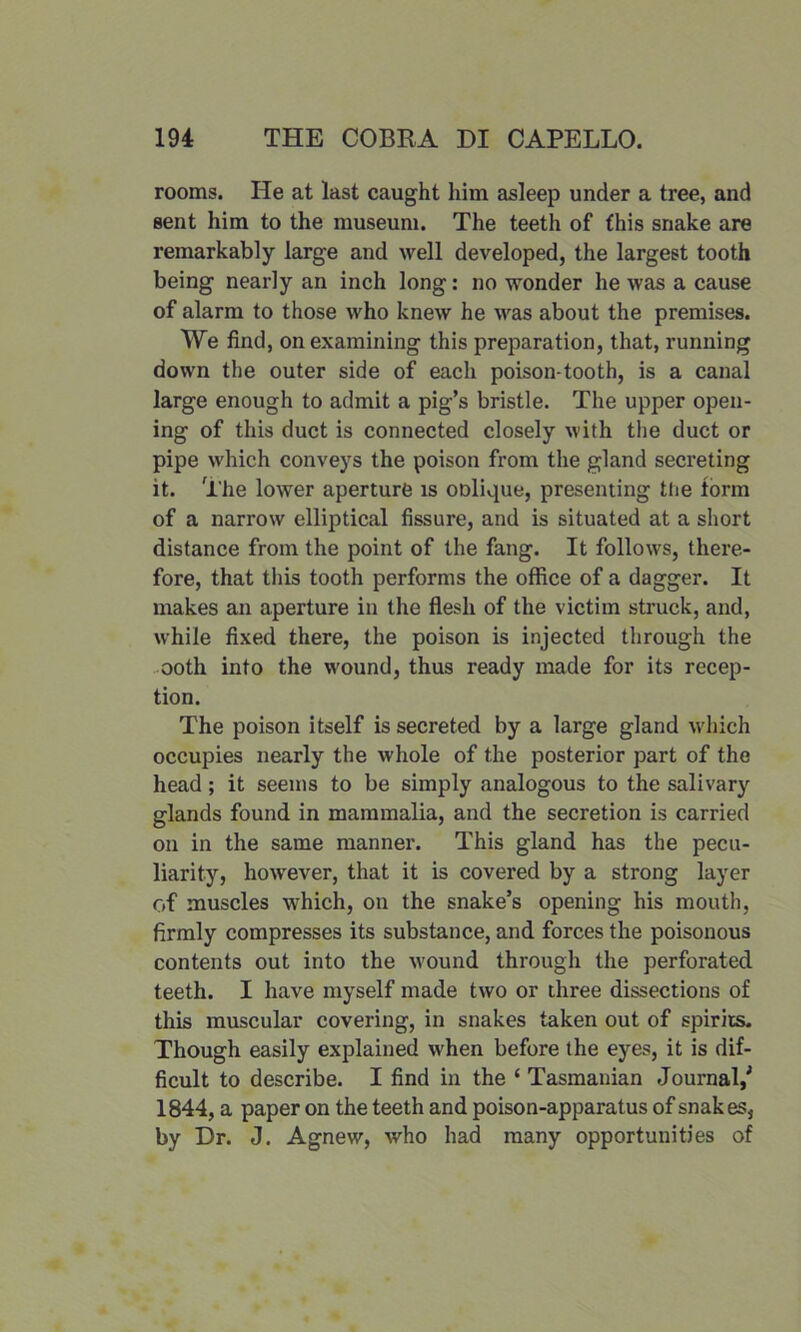 rooms. He at last caught him asleep under a tree, and sent him to the museum. The teeth of this snake are remarkably large and well developed, the largest tooth being nearly an inch long: no wonder he was a cause of alarm to those who knew he was about the premises. We find, on examining this preparation, that, running down the outer side of each poison-tooth, is a canal large enough to admit a pig’s bristle. The upper open- ing of this duct is connected closely with the duct or pipe which conveys the poison from the gland secreting it. The lower aperture is oolique, presenting the form of a narrow elliptical fissure, and is situated at a short distance from the point of the fang. It follows, there- fore, that this tooth performs the office of a dagger. It makes an aperture in the flesh of the victim struck, and, while fixed there, the poison is injected through the ooth into the wound, thus ready made for its recep- tion. The poison itself is secreted by a large gland which occupies nearly the whole of the posterior part of the head; it seems to be simply analogous to the salivary glands found in mammalia, and the secretion is carried on in the same manner. This gland has the pecu- liarity, however, that it is covered by a strong layer of muscles which, on the snake’s opening his mouth, firmly compresses its substance, and forces the poisonous contents out into the wound through the perforated teeth. I have myself made two or three dissections of this muscular covering, in snakes taken out of spirits. Though easily explained when before the eyes, it is dif- ficult to describe. I find in the ‘ Tasmanian Journal/ 1844, a paper on the teeth and poison-apparatus of snakes, by Dr. J. Agnew, who had many opportunities of