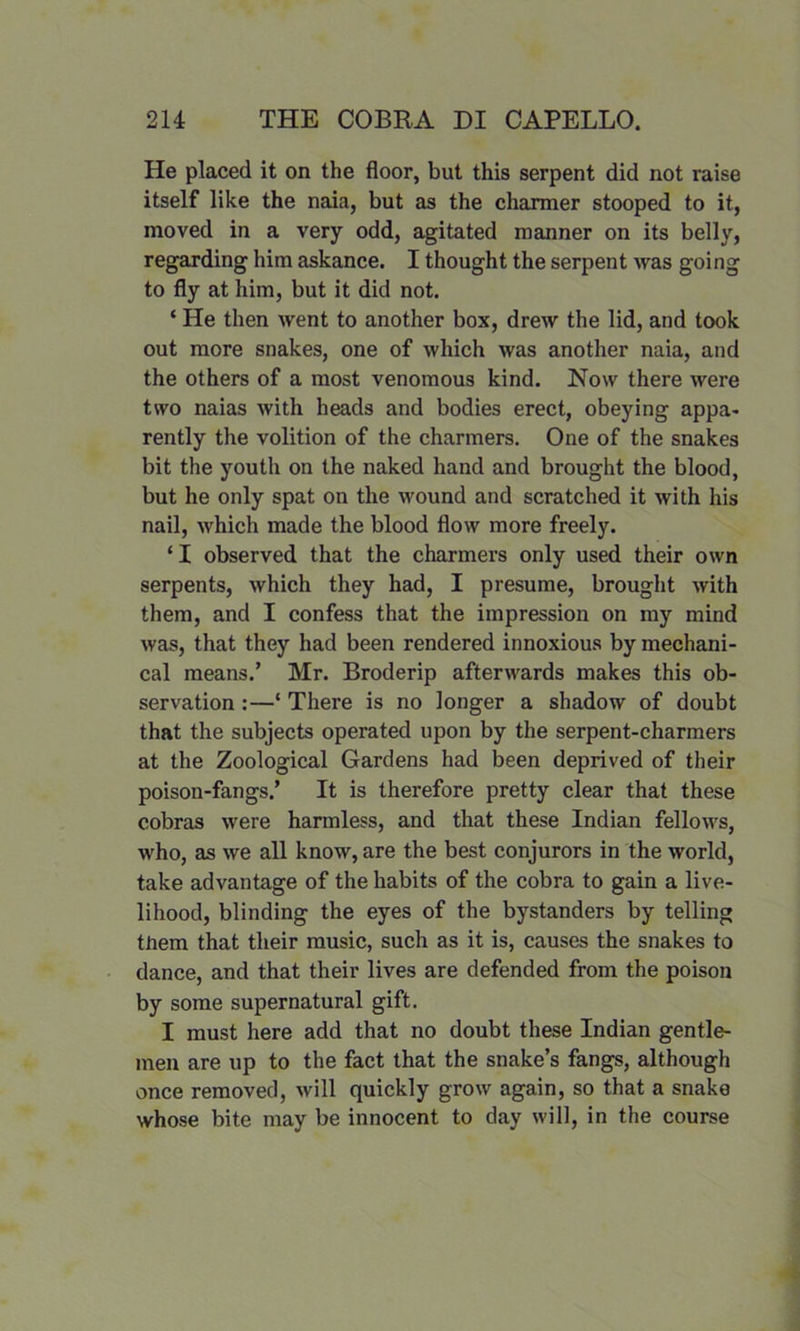 He placed it on the floor, but this serpent did not raise itself like the naia, but as the charmer stooped to it, moved in a very odd, agitated manner on its belly, regarding him askance. I thought the serpent was going to fly at him, but it did not. ‘ He then went to another box, drew the lid, and took out more snakes, one of which was another naia, and the others of a most venomous kind. Now there were two naias with heads and bodies erect, obeying appa- rently the volition of the charmers. One of the snakes bit the youth on the naked hand and brought the blood, but he only spat on the wound and scratched it with his nail, which made the blood flow more freely. ‘ I observed that the charmers only used their own serpents, which they had, I presume, brought with them, and I confess that the impression on my mind was, that they had been rendered innoxious by mechani- cal means.’ Mr. Broderip afterwards makes this ob- servation :—‘ There is no longer a shadow of doubt that the subjects operated upon by the serpent-charmers at the Zoological Gardens had been deprived of their poison-fangs.’ It is therefore pretty clear that these cobras were harmless, and that these Indian fellows, who, as we all know, are the best conjurors in the world, take advantage of the habits of the cobra to gain a live- lihood, blinding the eyes of the bystanders by telling tnem that their music, such as it is, causes the snakes to dance, and that their lives are defended from the poison by some supernatural gift. I must here add that no doubt these Indian gentle- men are up to the fact that the snake’s fangs, although once removed, will quickly grow again, so that a snake whose bite may be innocent to day will, in the course
