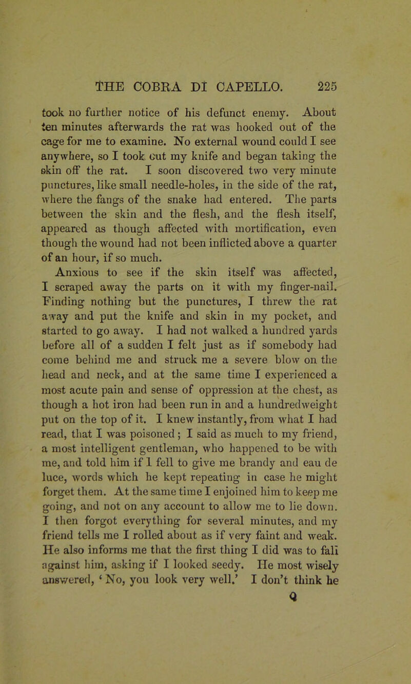 took no farther notice of his defunct enemy. About ten minutes afterwards the rat was hooked out of the cage for me to examine. No external wound could I see anywhere, so I took Gut my knife and began taking the skin off the rat. I soon discovered two very minute punctures, like small needle-holes, in the side of the rat, where the fangs of the snake had entered. The parts between the skin and the flesh, and the flesh itself, appeared as though affected with mortification, even thougli the wound had not been inflicted above a quarter of an hour, if so much. Anxious to see if the skin itself was afiected, I scraped away the parts on it with my finger-nail. Finding nothing but the punctures, I threw the rat away and put the knife and skin in my pocket, and started to go away. I had not walked a hundred yards before all of a sudden I felt just as if somebody had come behind me and struck me a severe blow on the head and neck, and at the same time I experienced a most acute pain and sense of oppression at the chest, as though a hot iron had been run in and a hundredweight put on the top of it. I knew instantly, from what I had read, that I was poisoned ; I said as much to my friend, a most intelligent gentleman, who happened to be with me, and told him if 1 fell to give me brandy and eau de luce, words which he kept repeating in case he might forget them. At the same time I enjoined him to keep me going, and not on any account to allow me to lie down. I then forgot everything for several minutes, and my friend tells me I rolled about as if very faint and weak. He also informs me that the first thing I did was to fall against him, asking if I looked seedy. He most wisely answered, ‘ No, you look very well.’ I don’t think he Q