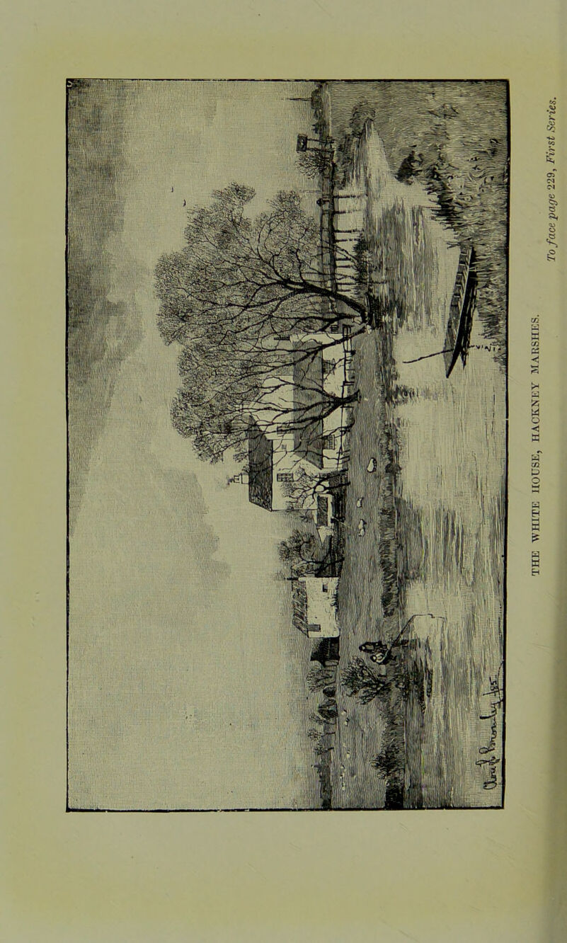 THE WHITE HOUSE, HACKNEY MARSHES.