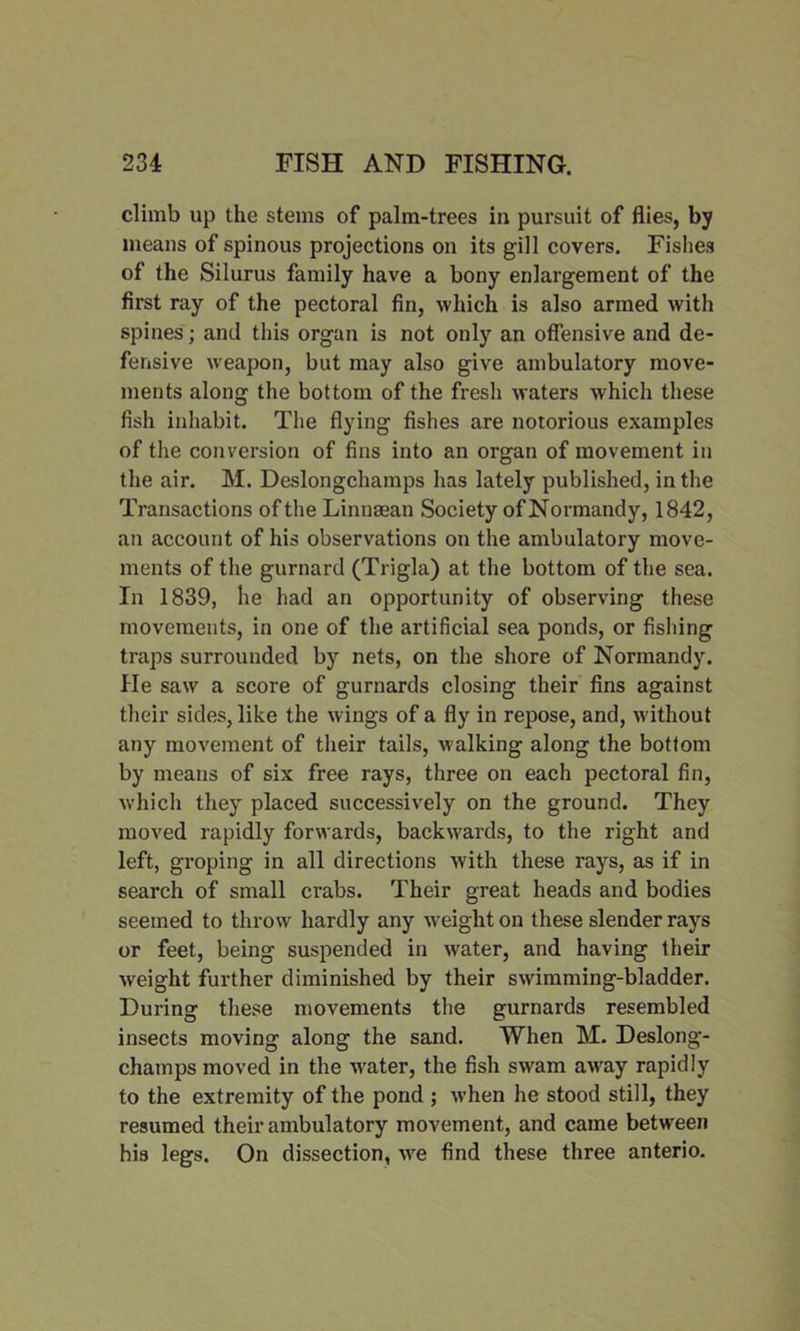 climb up the stems of palm-trees in pursuit of flies, by means of spinous projections on its gill covers. Fishes of the Silurus family have a bony enlargement of the first ray of the pectoral fin, which is also armed with spines; and this organ is not only an offensive and de- fensive weapon, but may also give ambulatory move- ments along the bottom of the fresh waters which these fish inhabit. The flying fishes are notorious examples of the conversion of fins into an organ of movement in the air. M. Deslongchamps has lately published, in the Transactions of the Linnaean Society of Normandy, 1842, an account of his observations on the ambulatory move- ments of the gurnard (Trigla) at the bottom of the sea. In 1839, he had an opportunity of observing these movements, in one of the artificial sea ponds, or fishing traps surrounded by nets, on the shore of Normandy. He saw a score of gurnards closing their fins against their sides, like the wings of a fly in repose, and, without any movement of their tails, walking along the bottom by means of six free rays, three on each pectoral fin, which they placed successively on the ground. They moved rapidly forwards, backwards, to the right and left, groping in all directions with these rays, as if in search of small crabs. Their great heads and bodies seemed to throw hardly any weight on these slender rays or feet, being suspended in water, and having their weight further diminished by their swimming-bladder. During these movements the gurnards resembled insects moving along the sand. When M. Deslong- champs moved in the water, the fish swam away rapidly to the extremity of the pond ; when he stood still, they resumed their ambulatory movement, and came between his legs. On dissection, we find these three anterio.