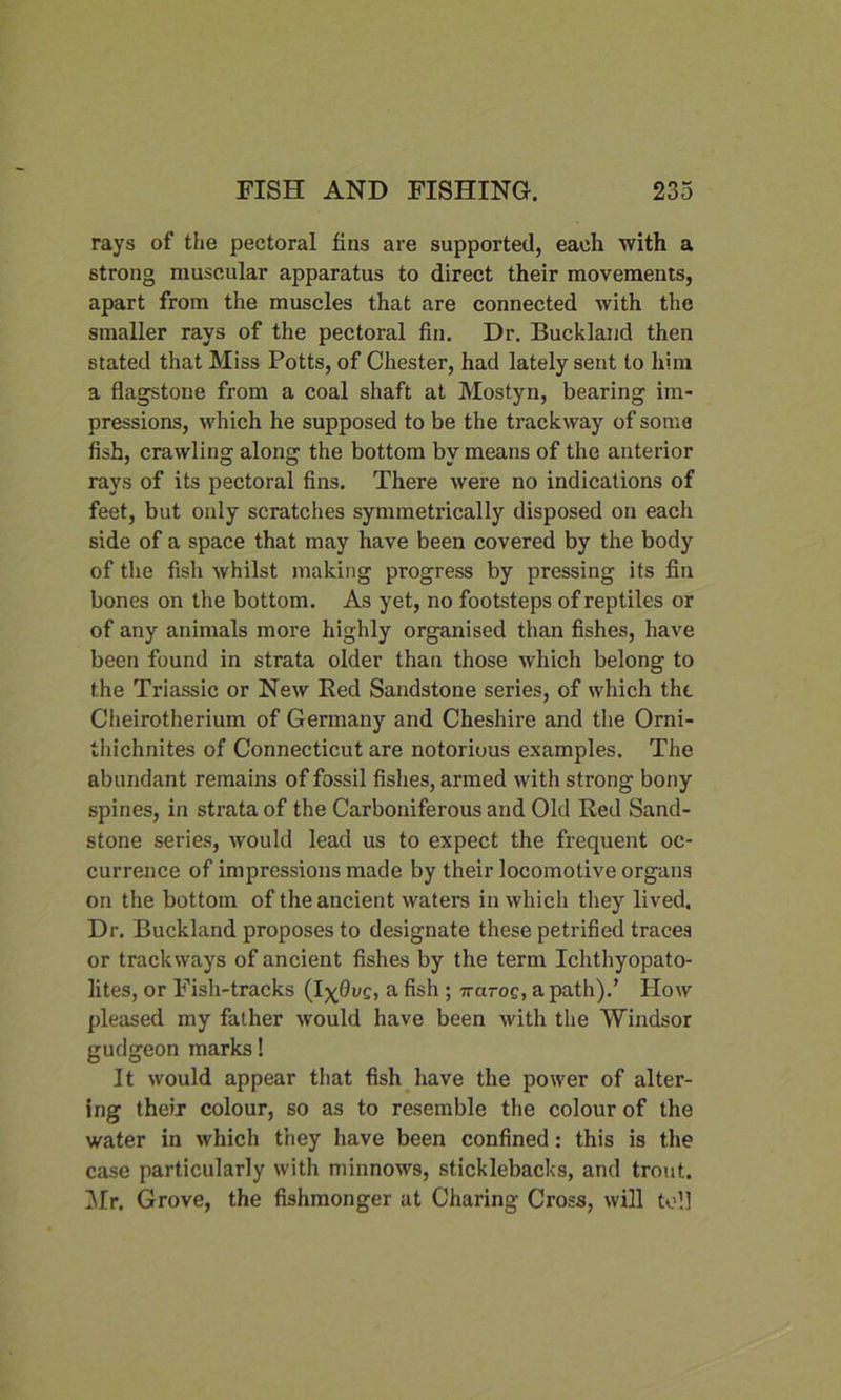 rays of the pectoral fins are supported, each with a strong muscular apparatus to direct their movements, apart from the muscles that are connected with the smaller rays of the pectoral fin. Dr. Buckland then stated that Miss Potts, of Chester, had lately sent to him a flagstone from a coal shaft at Mostyn, bearing im- pressions, which he supposed to be the trackway of soma fish, crawling along the bottom by means of the anterior rays of its pectoral fins. There were no indications of feet, but only scratches symmetrically disposed on each side of a space that may have been covered by the body of the fish whilst making progress by pressing its fin bones on the bottom. As yet, no footsteps of reptiles or of any animals more highly organised than fishes, have been found in strata older than those which belong to the Triassic or New Red Sandstone series, of which the Cheirotherium of Germany and Cheshire and the Orni- thichnites of Connecticut are notorious examples. The abundant remains of fossil fishes, armed with strong bony spines, in strata of the Carboniferous and Old Red Sand- stone series, would lead us to expect the frequent oc- currence of impressions made by their locomotive organs on the bottom of the ancient waters in which they lived. Dr. Buckland proposes to designate these petrified traces or trackways of ancient fishes by the term Ichthyopato- lites, or Fish-tracks (I^Oug, a fish ; ttcitoq, a path).’ How pleased my father would have been with the Windsor gudgeon marks! It would appear that fish have the power of alter- ing their colour, so as to resemble the colour of the water in which they have been confined: this is the case particularly with minnows, sticklebacks, and trout. Mr. Grove, the fishmonger at Charing Cross, will toll