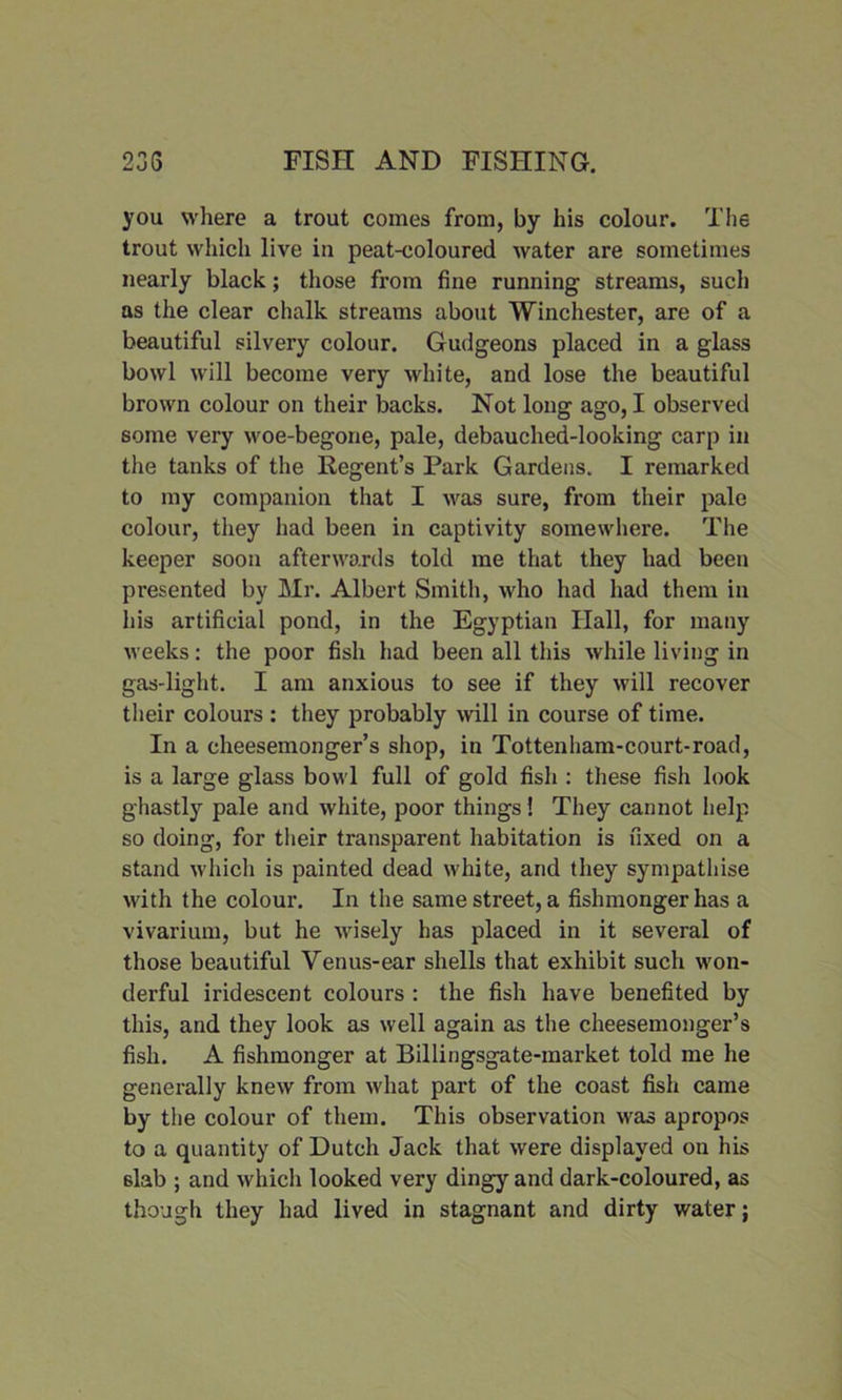 you where a trout comes from, by his colour. The trout which live in peat-coloured water are sometimes nearly black; those from fine running streams, such as the clear chalk streams about Winchester, are of a beautiful silvery colour. Gudgeons placed in a glass bowl will become very white, and lose the beautiful brown colour on their backs. Not long ago, I observed some very woe-begone, pale, debauched-looking carp in the tanks of the Regent’s Park Gardens. I remarked to my companion that I was sure, from their pale colour, they had been in captivity somewhere. The keeper soon afterwards told me that they had been presented by Mr. Albert Smith, who had had them in his artificial pond, in the Egyptian Hall, for many weeks: the poor fish had been all this while living in gas-light. I am anxious to see if they will recover their colours : they probably will in course of time. In a cheesemonger’s shop, in Tottenham-court-road, is a large glass bowl full of gold fish : these fish look ghastly pale and white, poor things! They cannot help so doing, for their transparent habitation is fixed on a stand which is painted dead white, and they sympathise with the colour. In the same street, a fishmonger has a vivarium, but he wisely has placed in it several of those beautiful Venus-ear shells that exhibit such won- derful iridescent colours : the fish have benefited by this, and they look as well again as the cheesemonger’s fish. A fishmonger at Billingsgate-market told me he generally knew from what part of the coast fish came by the colour of them. This observation was apropos to a quantity of Dutch Jack that were displayed on his 6lab ; and which looked very dingy and dark-coloured, as though they had lived in stagnant and dirty water;