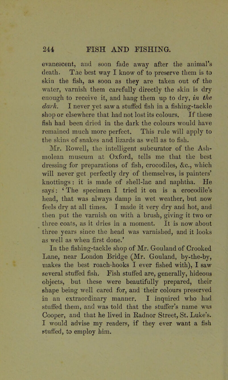 evanescent, and soon fade away after the animal’s death. Tne best way I know of to preserve them is to skin the fish, as soon as they are taken out of the water, varnish them carefully directly the skin is dry enough to receive it, and hang them up to dry, in the dark. I never yet saw a stuffed fish in a fishing-tackle shop or elsewhere that had not lost its colours. If these fish had been dried in the dark the colours would have remained much more perfect. This rule will apply to the skins of snakes and lizards as well as to fish. Mr. Rowell, the intelligent subcurator of the Ash- molean museum at Oxford, tells me that the best dressing for preparations of fish, crocodiles, &c., which will never get perfectly dry of themselves, is painters’ knottings: it is made of shell-lac and naphtha. He says: ‘ The specimen I tried it on is a crocodile’s head, that was always damp in wet weather, but now feels dry at all times. I made it very dry and hot, and then put the varnish on with a brush, giving it two or three coats, as it dries in a moment. It is now about three years since the head was varnished, and it looks as well as when first done.’ In the fishing-tackle shop of Mr. Gouland of Crooked Lane, near London Bridge (Mr. Gouland, by-the-by, makes the best roach-hooks I ever fished with), I saw several stuffed fish. Fish stuffed are, generally, hideous objects, but these were beautifully prepared, their shape being well cared for, and their colours preserved in an extraordinary manner. I inquired who had stuffed them, and was told that the stuffer’s name was Cooper, and that he lived in Radnor Street, St. Luke’s. I would advise my readers, if they ever want a fish stuffed, to employ him.