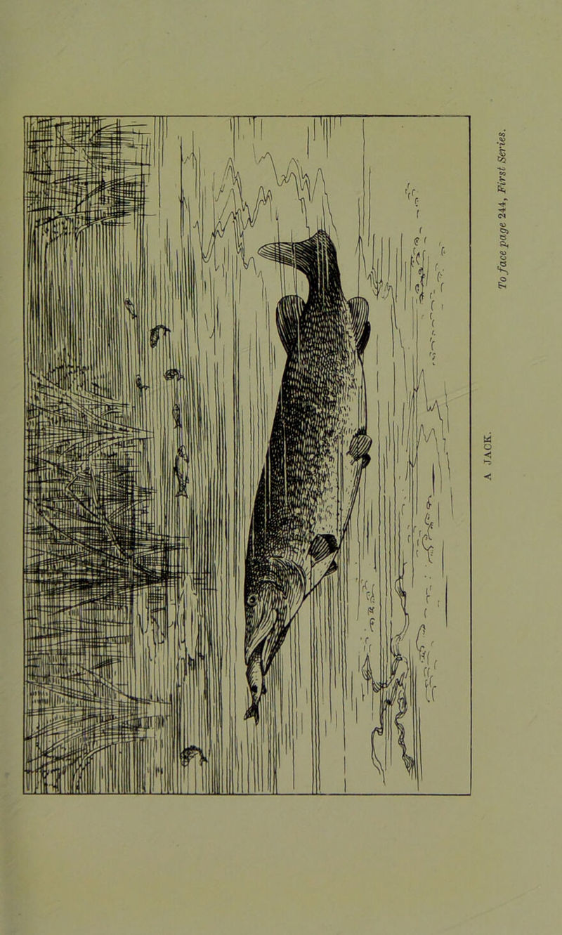 M o < To face page 244, First Series.