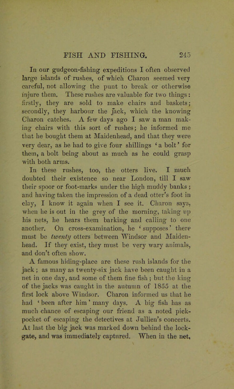 In our gudgeon-fishing expeditions I often observed large islands of rushes, of which Charon seemed very careful, not allowing the punt to break or otherwise injure them. These rushes are valuable for two things: firstly, they are sold to make chairs and baskets; secondly, they harbour the Jack, which the knowing Charon catches. A few days ago I saw a man mak- ing chairs with this sort of rushes; he informed me that he bought them at Maidenhead, and that they were very dear, as he had to give four shillings ‘ a bolt ’ for them, a bolt being about as much as he could grasp with both arms. In these rushes, too, the otters live. I much doubted their existence so near London, till I saw their spoor or foot-marks under the high muddy banks ; and having taken the impression of a dead otter’s foot in clay, I know it again when I see it. Charon says, when he is out in the grey of the morning, taking up his nets, he hears them barking and calling to one another. On cross-examination, he c supposes ’ there must be twenty otters between Windsor and Maiden- head. If they exist, they must be very wary animals, and don’t often show. A famous hiding-place are these rush islands for the jack ; as many as twenty-six jack have been caught in a net in one day, and some of them fine fish; but the king of the jacks was caught in the autumn of 1855 at the first lock above Windsor. Charon informed us that he had ‘ been after him ’ many days. A big fish lias as much chance of escaping our friend as a noted pick- pocket of escaping the detectives at Jullien’s concerts. At last the big jack was marked down behind the lock- gate, and was immediately captured. When in the net.