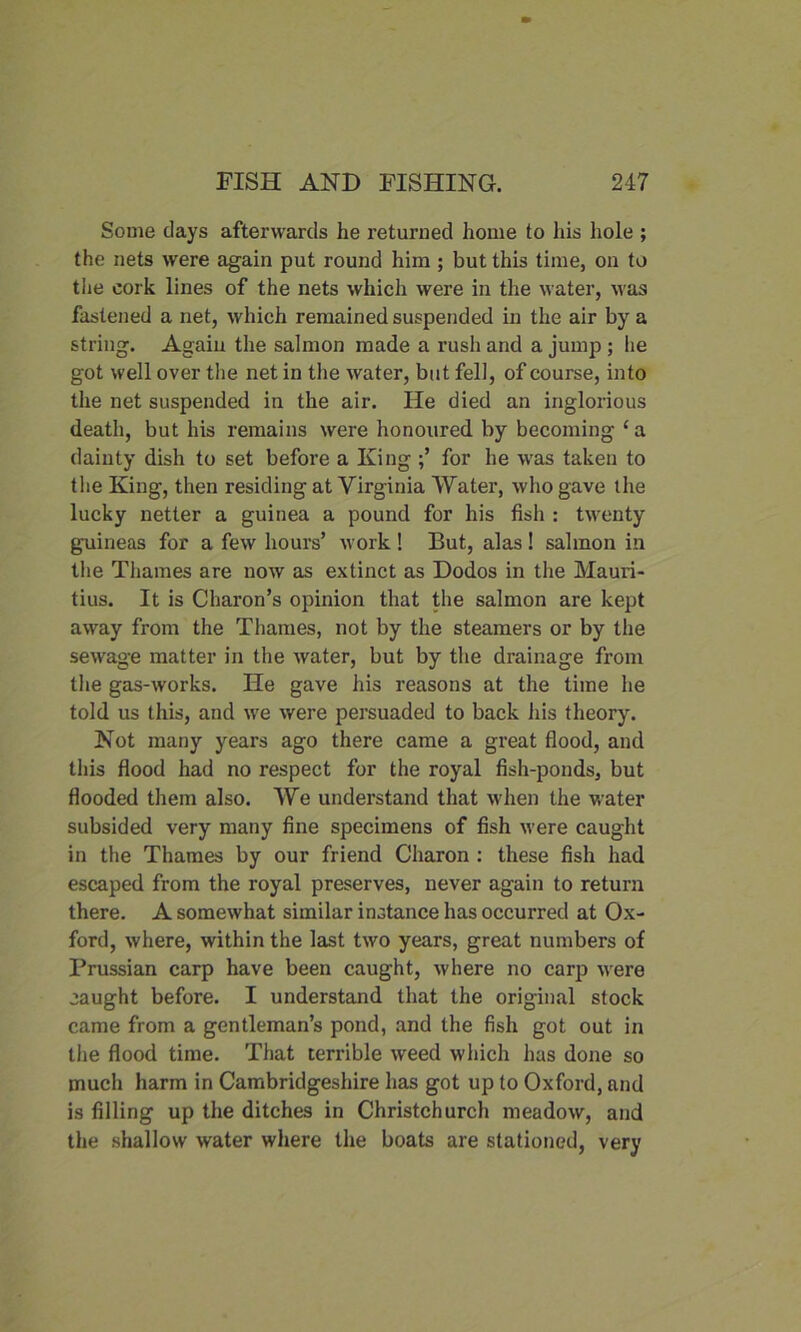Some days afterwards he returned home to his hole ; the nets were again put round him ; but this time, on to the cork lines of the nets which were in the water, was fastened a net, which remained suspended in the air by a string. Again the salmon made a rush and a jump ; lie got well over the net in the water, but fell, of course, into the net suspended in the air. He died an inglorious death, but his remains were honoured by becoming ca dainty dish to set before a King ;’ for he was taken to the King, then residing at Virginia Water, who gave the lucky netter a guinea a pound for his fish : twenty guineas for a few hours’ work ! But, alas ! salmon in the Thames are now as extinct as Dodos in the Mauri- tius. It is Charon’s opinion that the salmon are kept away from the Thames, not by the steamers or by the sewage matter in the water, but by the drainage from the gas-works. He gave his reasons at the time he told us this, and we were persuaded to back his theory. Not many years ago there came a great flood, and this flood had no respect for the royal fish-ponds, but flooded them also. We understand that when the water subsided very many fine specimens of fish were caught in the Thames by our friend Charon : these fish had escaped from the royal preserves, never again to return there. A somewhat similar instance has occurred at Ox- ford, where, within the last two years, great numbers of Prussian carp have been caught, where no carp were caught before. I understand that the original stock came from a gentleman’s pond, and the fish got out in the flood time. That terrible weed which has done so much harm in Cambridgeshire has got up to Oxford, and is filling up the ditches in Christchurch meadow, and the shallow water where the boats are stationed, very