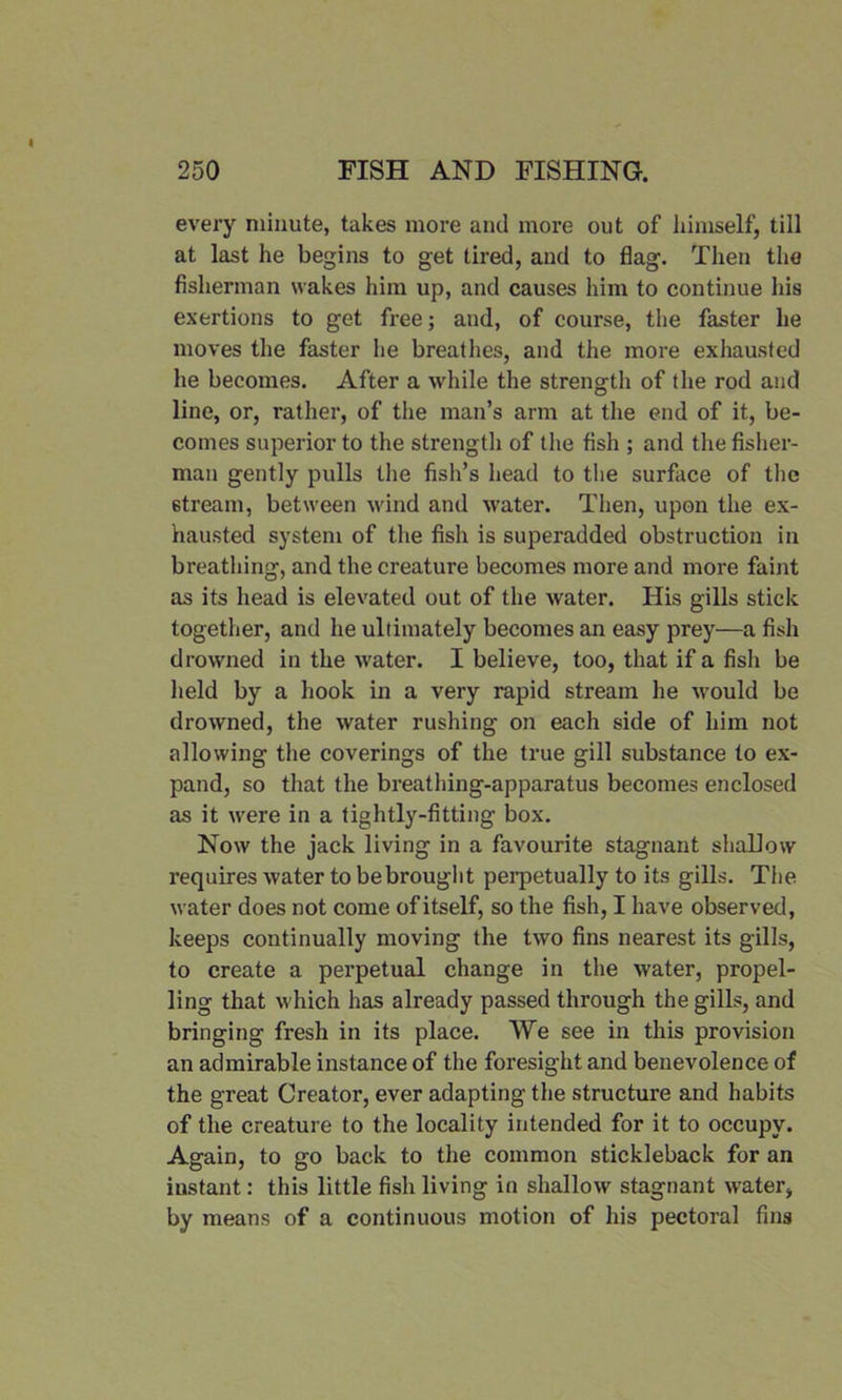 every minute, takes more and more out of himself, till at last he begins to get tired, and to flag. Then the fisherman wakes him up, and causes him to continue his exertions to get free; and, of course, the faster he moves the faster he breathes, and the more exhausted he becomes. After a while the strength of the rod and line, or, rather, of the man’s arm at the end of it, be- comes superior to the strength of the fish ; and the fisher- man gently pulls the fish’s head to the surface of the stream, between wind and water. Then, upon the ex- hausted system of the fish is superadded obstruction in breathing, and the creature becomes more and more faint as its head is elevated out of the water. His gills stick together, and he ultimately becomes an easy prey—a fish drowned in the water. I believe, too, that if a fish be held by a hook in a very rapid stream he would be drowned, the water rushing on each side of him not allowing the coverings of the true gill substance to ex- pand, so that the breathing-apparatus becomes enclosed as it were in a tightly-fitting- box. Now the jack living in a favourite stagnant shallow requires water to bebrouglit perpetually to its gills. The water does not come of itself, so the fish, I have observed, keeps continually moving the two fins nearest its gills, to create a perpetual change in the water, propel- ling that which has already passed through the gills, and bringing fresh in its place. We see in this provision an admirable instance of the foresight and benevolence of the great Creator, ever adapting the structure and habits of the creature to the locality intended for it to occupy. Again, to go back to the common stickleback for an instant: this little fish living in shallow stagnant water, by means of a continuous motion of his pectoral fins