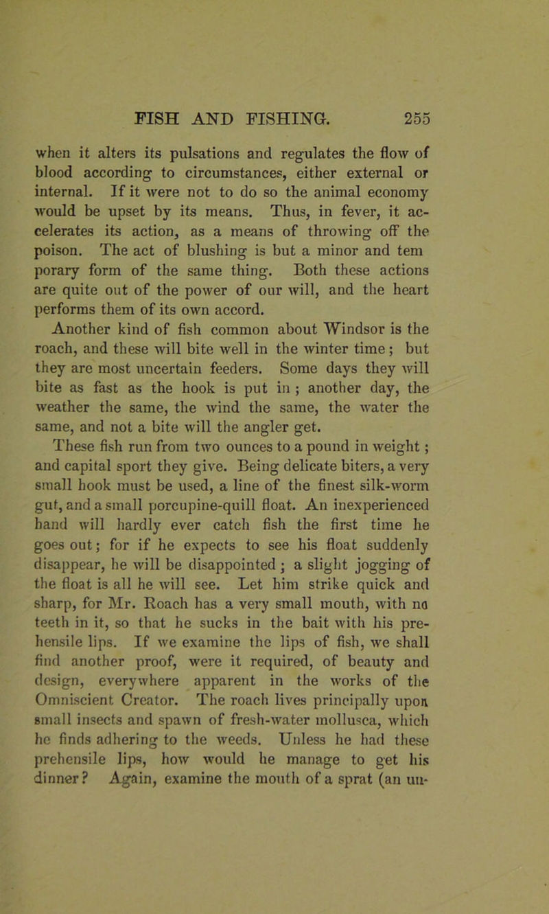 when it alters its pulsations and regulates the flow of blood according to circumstances, either external or internal. If it were not to do so the animal economy would be upset by its means. Thus, in fever, it ac- celerates its action, as a means of throwing off the poison. The act of blushing is but a minor and tern porary form of the same thing. Both these actions are quite out of the power of our will, and the heart performs them of its own accord. Another kind of fish common about Windsor is the roach, and these will bite well in the winter time; but they are most uncertain feeders. Some days they will bite as fast as the hook is put in ; another day, the weather the same, the wind the same, the water the same, and not a bite will the angler get. These fish run from two ounces to a pound in weight; and capital sport they give. Being delicate biters, a very small hook must be used, a line of the finest silk-wonn gut, and a small porcupine-quill float. An inexperienced hand will hardly ever catch fish the first time he goes out; for if he expects to see his float suddenly disappear, he will be disappointed ; a slight jogging of the float is all he will see. Let him strike quick and sharp, for Mr. Roach has a very small mouth, with no teeth in it, so that he sucks in the bait with his pre- hensile lips. If we examine the lips of fish, we shall find another proof, were it required, of beauty and design, everywhere apparent in the works of the Omniscient Creator. The roach lives principally upon Bmall insects and spawn of fresh-water mollusea, which he finds adhering to the weeds. Unless he had these prehensile lips, how would he manage to get his dinner? Again, examine the mouth of a sprat (an uu-
