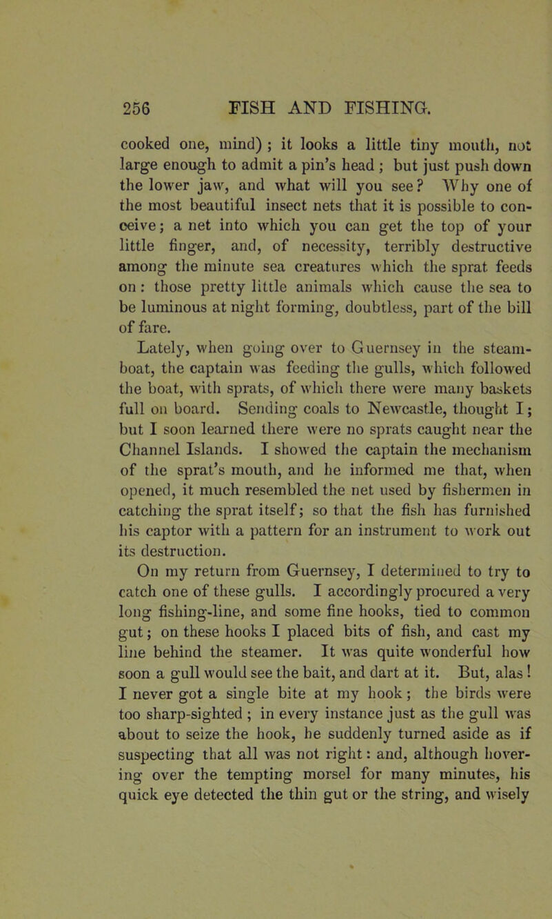 cooked one, mind) ; it looks a little tiny mouth, not large enough to admit a pin’s head ; but just push down the lower jaw, and what will you see? Why one of the most beautiful insect nets that it is possible to con- ceive; a net into which you can get the top of your little finger, and, of necessity, terribly destructive among the minute sea creatures which the sprat feeds on : those pretty little animals which cause the sea to be luminous at night forming, doubtless, part of the bill of fare. Lately, when going over to Guernsey in the steam- boat, the captain was feeding the gulls, which followed the boat, with sprats, of which there were many baskets full on board. Sending coals to Newcastle, thought I; but I soon learned there were no sprats caught near the Channel Islands. I showed the captain the mechanism of the sprat’s mouth, and he informed me that, when opened, it much resembled the net used by fishermen in catching the sprat itself; so that the fish has furnished his captor with a pattern for an instrument to work out its destruction. On my return from Guernsey, I determined to try to catch one of these gulls. I accordingly procured a very long fishing-line, and some fine hooks, tied to common gut; on these hooks I placed bits of fish, and cast my line behind the steamer. It was quite wonderful how soon a gull would see the bait, and dart at it. But, alas ! I never got a single bite at my hook; the birds were too sharp-sighted ; in every instance just as the gull was about to seize the hook, be suddenly turned aside as if suspecting that all was not right: and, although hover- ing over the tempting morsel for many minutes, his quick eye detected the thin gut or the string, and wisely