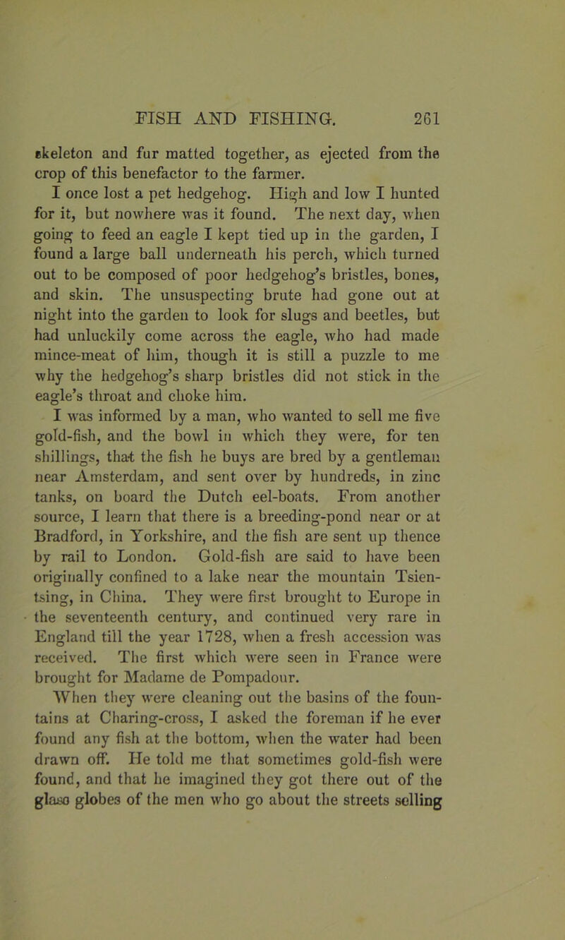 skeleton and fur matted together, as ejected from the crop of this benefactor to the farmer. I once lost a pet hedgehog. High and low I hunted for it, but nowhere was it found. The next day, when going to feed an eagle I kept tied up in the garden, I found a large ball underneath his perch, which turned out to be composed of poor hedgehog’s bristles, bones, and skin. The unsuspecting brute had gone out at night into the garden to look for slugs and beetles, but had unluckily come across the eagle, who had made mince-meat of him, though it is still a puzzle to me why the hedgehog’s sharp bristles did not stick in the eagle’s throat and choke him. I was informed by a man, who wanted to sell me five gold-fish, and the bowl in which they were, for ten shillings, that the fish he buys are bred by a gentleman near Amsterdam, and sent over by hundreds, in zinc tanks, on board the Dutch eel-boats. From another source, I learn that there is a breeding-pond near or at Bradford, in Yorkshire, and the fish are sent up thence by rail to London. Gold-fish are said to have been originally confined to a lake near the mountain Tsien- tsing, in China. They were first brought to Europe in the seventeenth century, and continued very rare in England till the year 1728, when a fresh accession was received. The first which were seen in France were brought for Madame de Pompadour. When they were cleaning out the basins of the foun- tains at Charing-cross, I asked the foreman if he ever found any fish at the bottom, when the water had been drawn off. He told me that sometimes gold-fish were found, and that he imagined they got there out of the glaso globes of the men who go about the streets selling