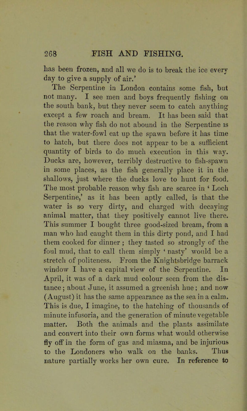 lias been frozen, and all we do is to break the ice every day to give a supply of air.’ The Serpentine in London contains some fish, but not many. I see men and boys frequently fishing on the south bank, but they never seem to catch anything except a few roach and bream. It has been said that the reason why fish do not abound in the Serpentine is that the water-fowl eat up the spawn before it has time to hatch, but there does not appear to be a sufficient quantity of birds to do much execution in this way. Ducks are, however, terribly destructive to fish-spawn in some places, as the fish generally place it in the shallows, just where the ducks love to hunt for food. The most probable reason why fish are scarce in ‘ Loch Serpentine,’ as it has been aptly called, is that the water is so very dirty, and charged with decaying animal matter, that they positively cannot live there. This summer I bought three good-sized bream, from a man who had caught them in this dirty pond, and I had them cooked for dinner ; they tasted so strongly of the foul mud, that to call them simply ‘ nasty’ would be a stretch of politeness. From the Knightsbridge barrack window I have a capital view of the Serpentine. In April, it was of a dark mud colour seen from the dis- tance; about June, it assumed a greenish hue; and now (August) it has the same appearance as the sea in a calm. This is due, I imagine, to the hatching of thousands of minute infusoria, and the generation of minute vegetable matter. Both the animals and the plants assimilate and convert into their own forms what would otherwise fly off in the form of gas and miasma, and be injurious to the Londoners who walk on the banks. Thus nature partially works her own cure. In reference to