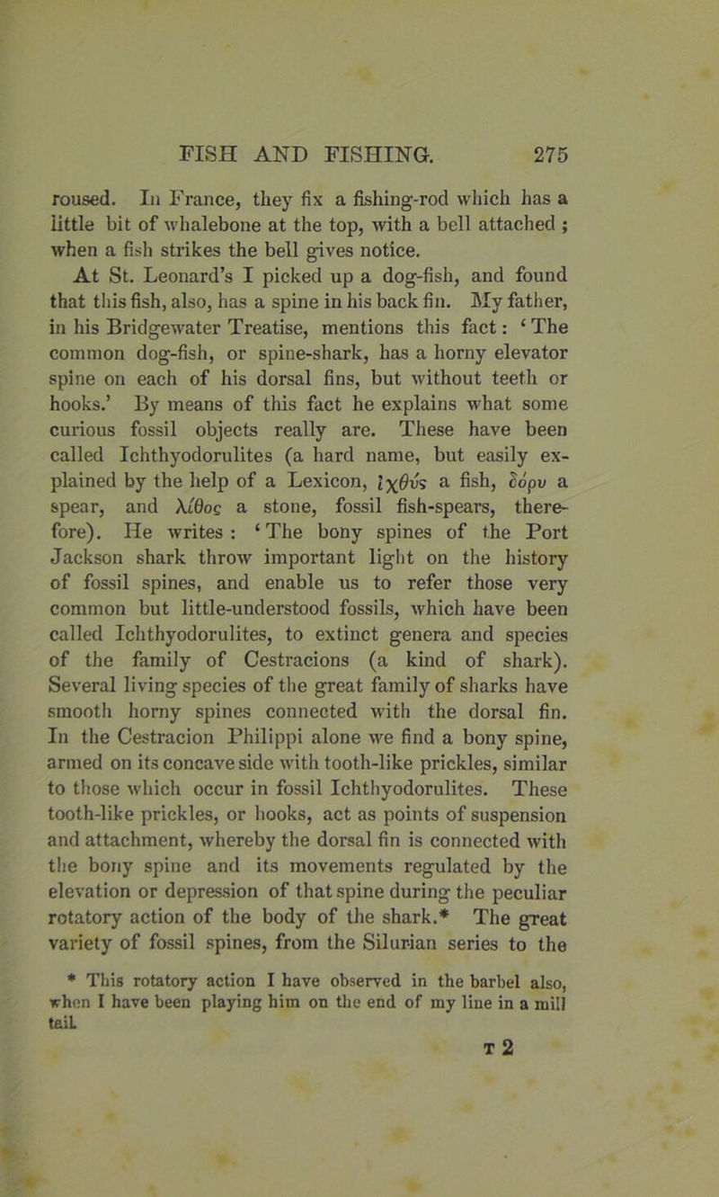 roused. In Franee, they fix a fishing-rod which has a Little bit of whalebone at the top, with a bell attached ; when a fish strikes the bell gives notice. At St. Leonard’s I picked up a dog-fish, and found that this fish, also, has a spine in his back fin. My father, in his Bridgewrater Treatise, mentions this fact: ‘ The common dog-fish, or spine-shark, has a horny elevator spine on each of his dorsal fins, but without teeth or hooks.’ By means of this fact he explains what some curious fossil objects really are. These have been called Ichthyodorulites (a hard name, but easily ex- plained by the help of a Lexicon, l\6vs a fish, a spear, and XCQoq a stone, fossil fish-spears, there- fore). He writes: ‘The bony spines of the Port Jackson shark throw important light on the history of fossil spines, and enable us to refer those very common but little-understood fossils, which have been called Ichthyodorulites, to extinct genera and species of the family of Cestracions (a kind of shark). Several living species of the great family of sharks have smooth horny spines connected with the dorsal fin. In the Cestracion Philippi alone we find a bony spine, armed on its concave side with tooth-like prickles, similar to those which occur in fossil Ichthyodorulites. These tooth-like prickles, or hooks, act as points of suspension and attachment, whereby the dorsal fin is connected with the bony spine and its movements regulated by the elevation or depression of that spine during the peculiar rotatory action of the body of the shark.* The great variety of fossil spines, from the Silurian series to the * This rotatory action I have observed in the barbel also, when I have been playing him on the end of my line in a mill tail.