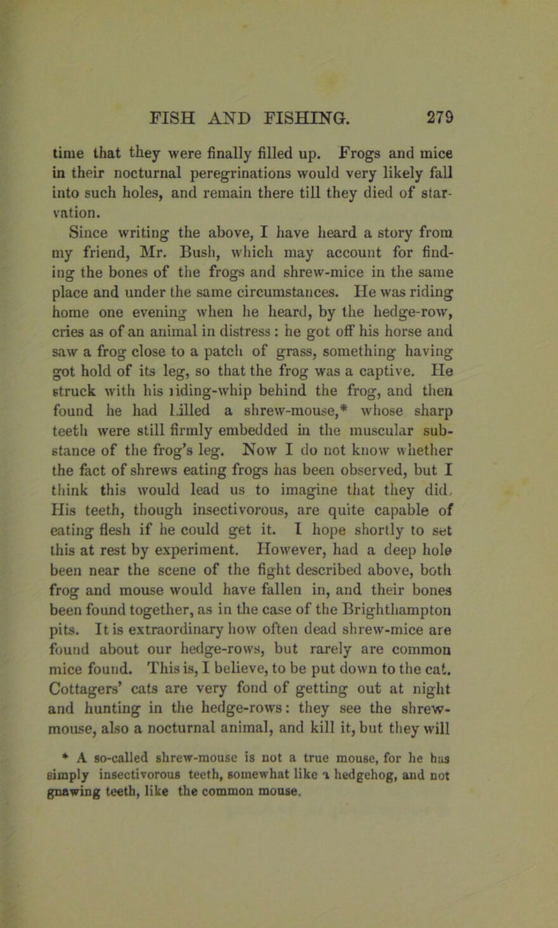 time that they were finally filled up. Frogs and mice in their nocturnal peregrinations would very likely fall into such holes, and remain there till they died of star- vation. Since writing the above, I have heard a story from my friend, Mr. Bush, which may account for find- ing the bones of the frogs and shrew-mice in the same place and under the same circumstances. He was riding home one evening when he heard, by the hedge-row, cries as of an animal in distress : he got off his horse and saw a frog close to a patch of grass, something having got hold of its leg, so that the frog was a captive. He struck with his riding-whip behind the frog, and then found he had lilled a shrew-mouse,* whose sharp teeth were still firmly embedded in the muscular sub- stance of the frog’s leg. Now I do not know whether the fact of shrews eating frogs has been observed, but I tiiink this would lead us to imagine that they did. His teeth, though insectivorous, are quite capable of eating flesh if he could get it. I hope shortly to set this at rest by experiment. However, had a deep hole been near the scene of the fight described above, both frog and mouse would have fallen in, and their bones been found together, as in the case of the Brighthampton pits. It is extraordinary how often dead shrew-mice are found about our hedge-rows, but rarely are common mice found. This is, I believe, to be put down to the cat. Cottagers’ cats are very fond of getting out at night and hunting in the hedge-rows: they see the shrew- mouse, also a nocturnal animal, and kill it, but they will * A so-called shrew-mouse is not a true mouse, for he has simply insectivorous teeth, somewhat like a hedgehog, and not gnawing teeth, like the common mouse.