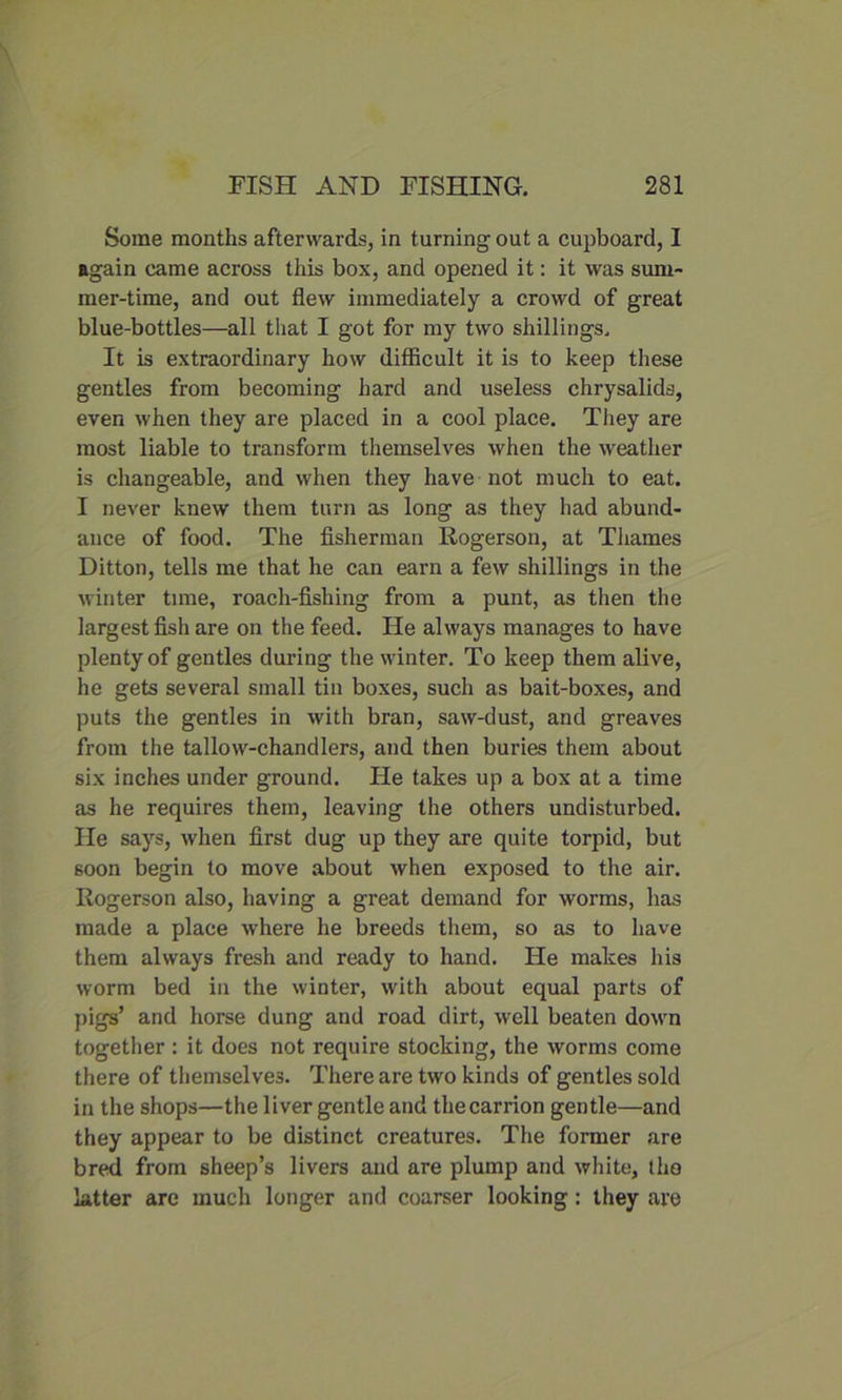 Some months afterwards, in turning out a cupboard, I again came across this box, and opened it: it was sum- mer-time, and out flew immediately a crowd of great blue-bottles—all that I got for my two shillings. It is extraordinary how difficult it is to keep these gentles from becoming hard and useless chrysalids, even when they are placed in a cool place. They are most liable to transform themselves when the weather is changeable, and when they have not much to eat. I never knew them turn as long as they had abund- ance of food. The fisherman Rogerson, at Thames Ditton, tells me that he can earn a few shillings in the winter time, roach-fishing from a punt, as then the largest fish are on the feed. He always manages to have plenty of gentles during the winter. To keep them alive, he gets several small tin boxes, such as bait-boxes, and puts the gentles in with bran, saw-dust, and greaves from the tallow-chandlers, and then buries them about six inches under ground. He takes up a box at a time as he requires them, leaving the others undisturbed. He says, when first dug up they are quite torpid, but soon begin to move about when exposed to the air. Rogerson also, having a great demand for worms, has made a place where he breeds them, so as to have them always fresh and ready to hand. He makes his worm bed in the winter, with about equal parts of pigs’ and horse dung and road dirt, well beaten down together : it does not require stocking, the worms come there of themselves. There are two kinds of gentles sold in the shops—the liver gentle and the carrion gentle—and they appear to be distinct creatures. The former are bred from sheep’s livers and are plump and white, the latter are much longer and coarser looking: they are